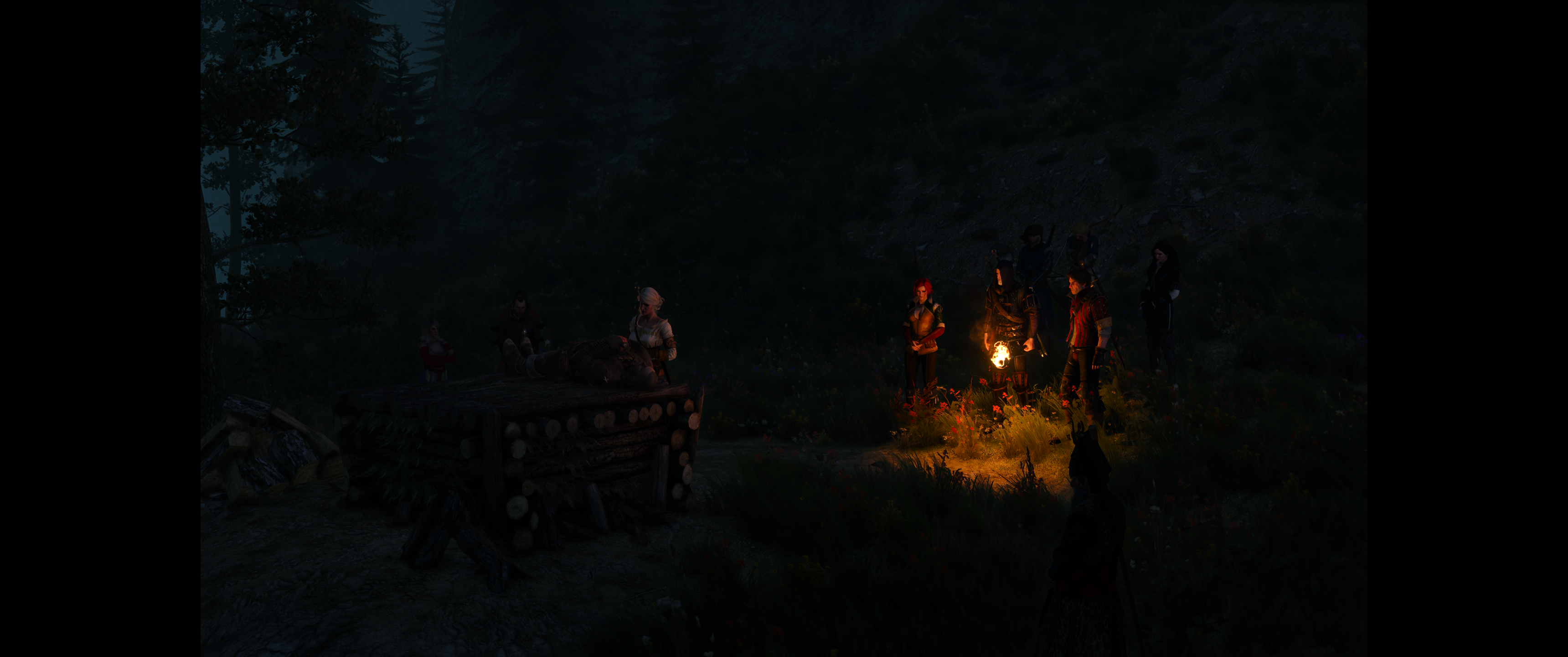 Witcher III (566).png