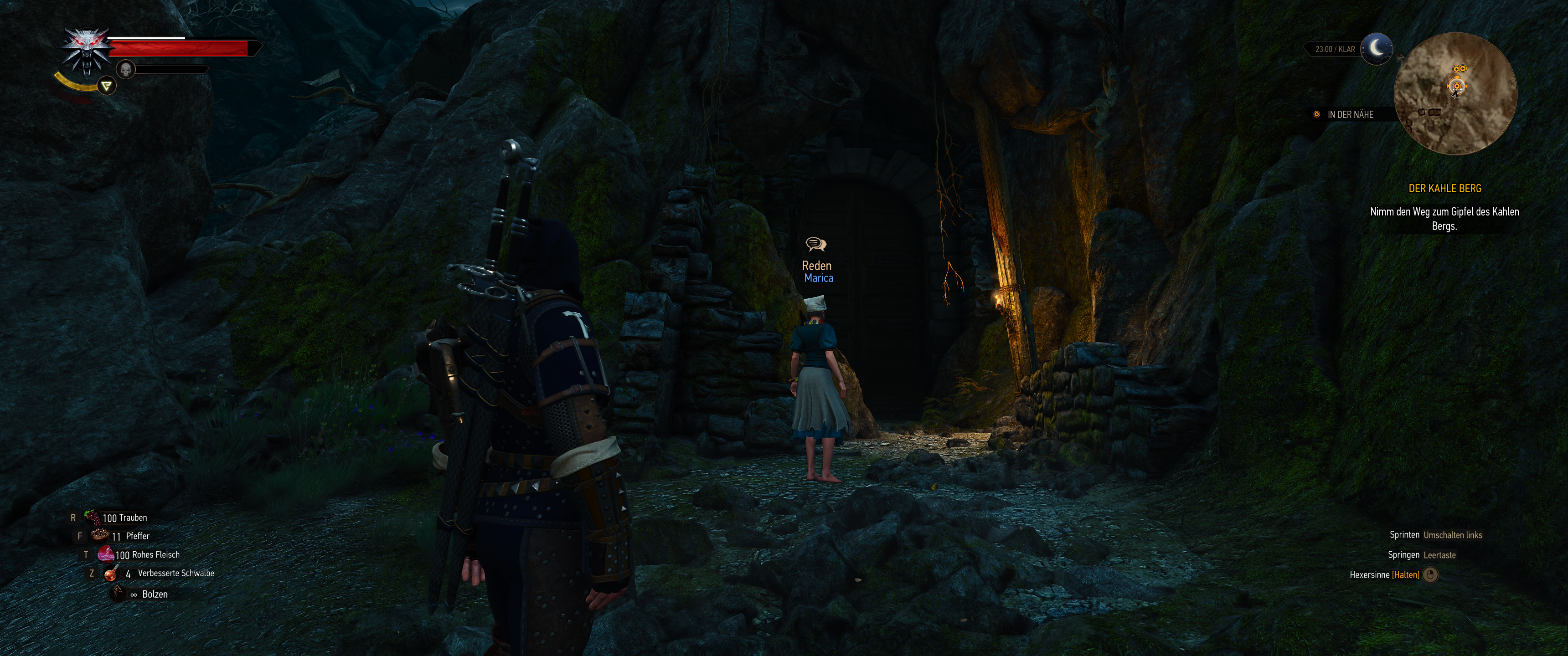 Witcher III (574).png