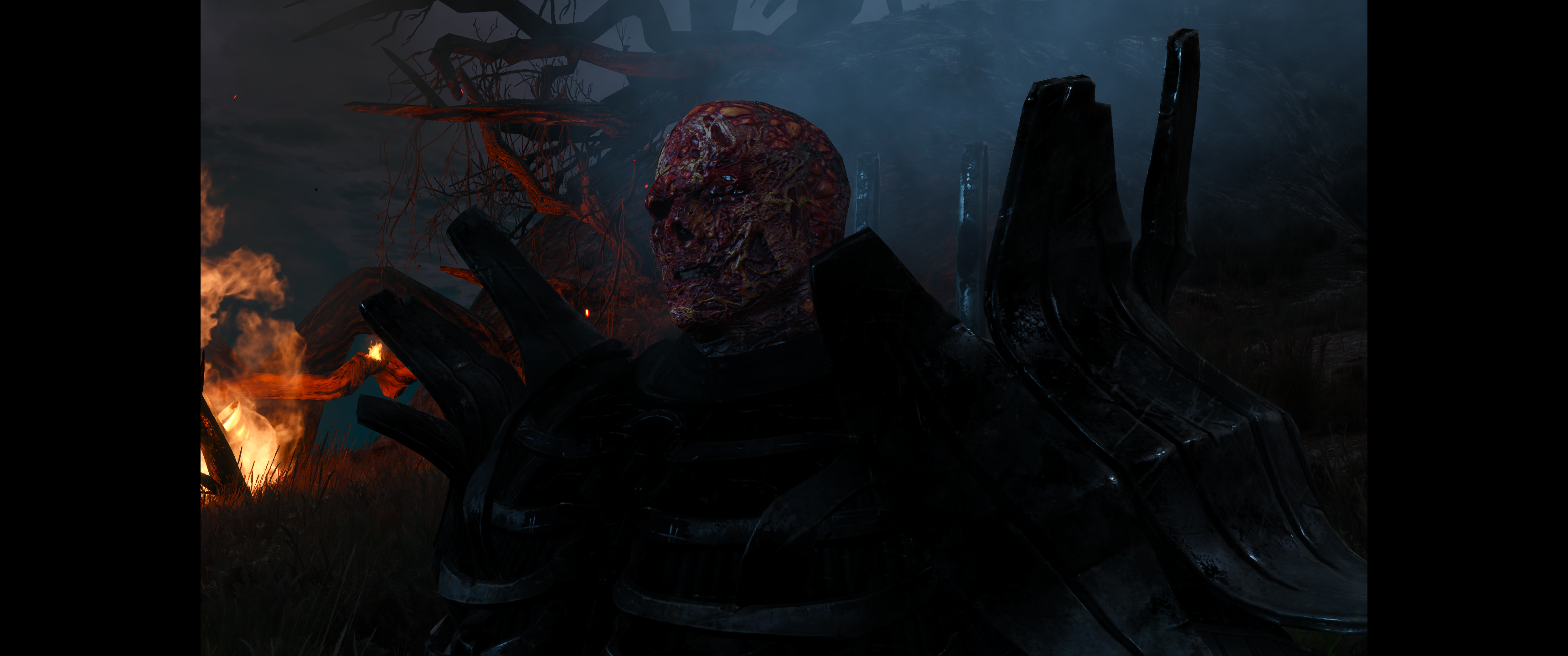 Witcher III (578).png