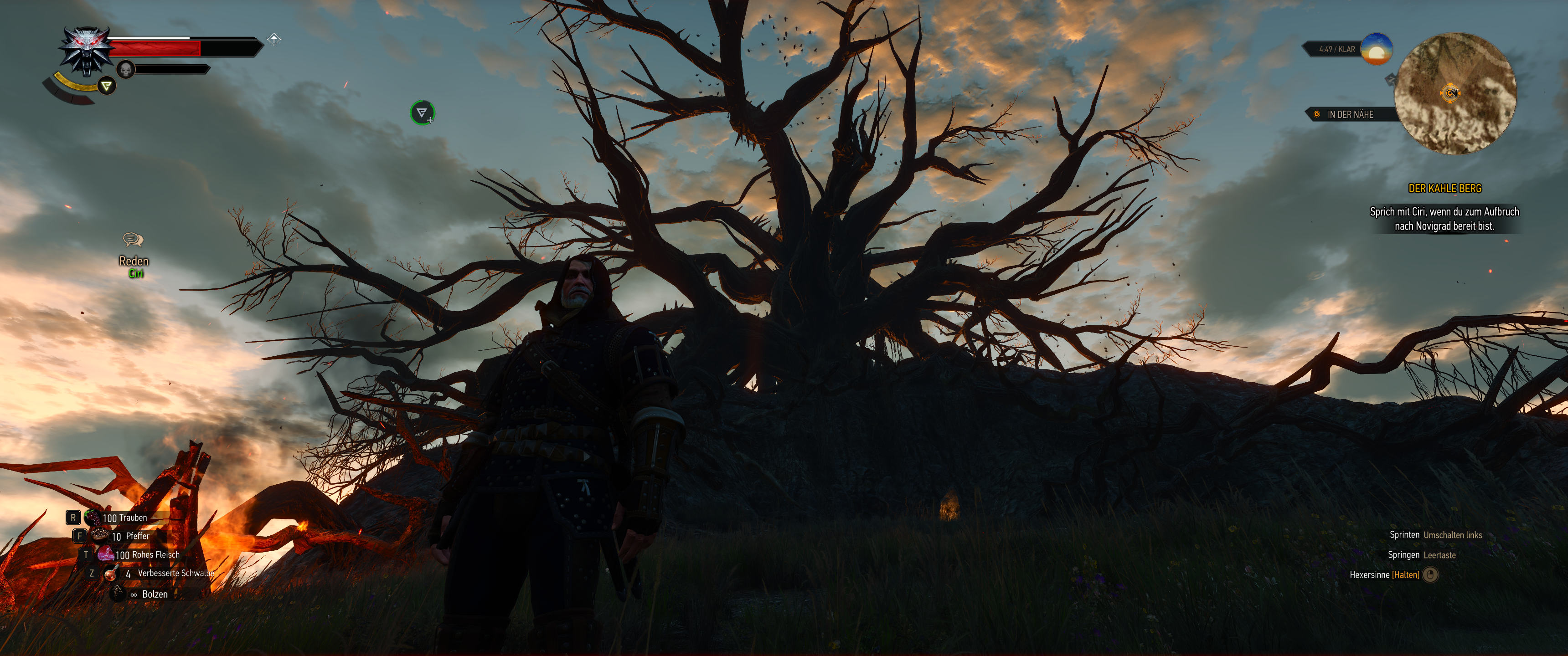 Witcher III (580).png