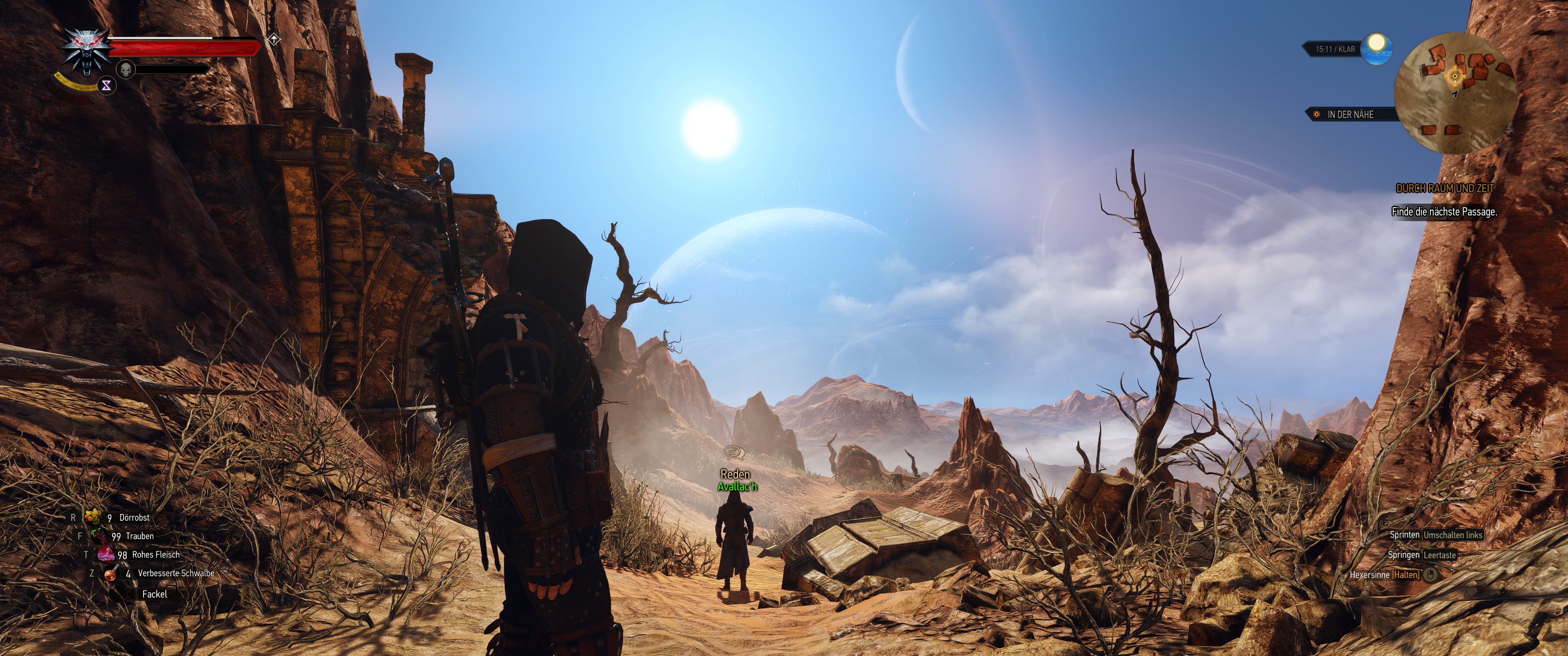 Witcher III (585).png