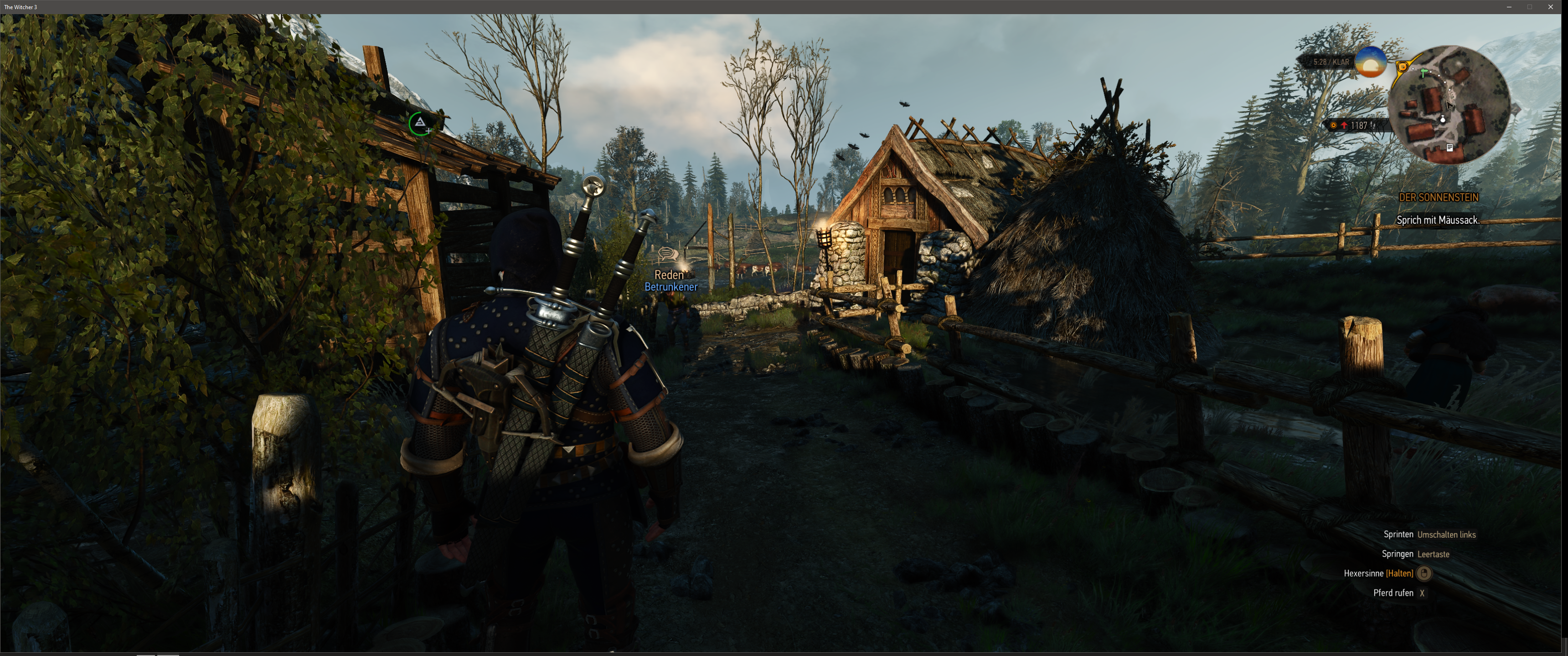 Witcher III (596).png