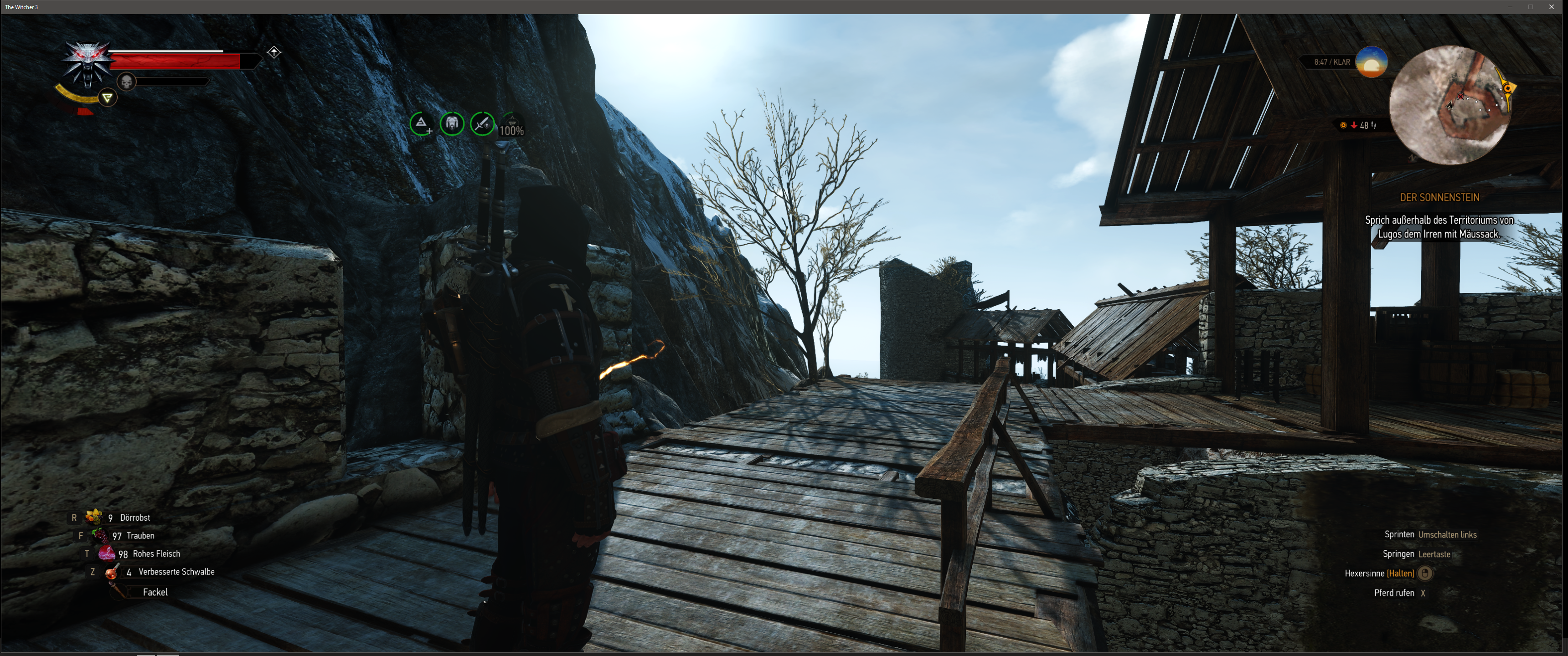 Witcher III (597).png