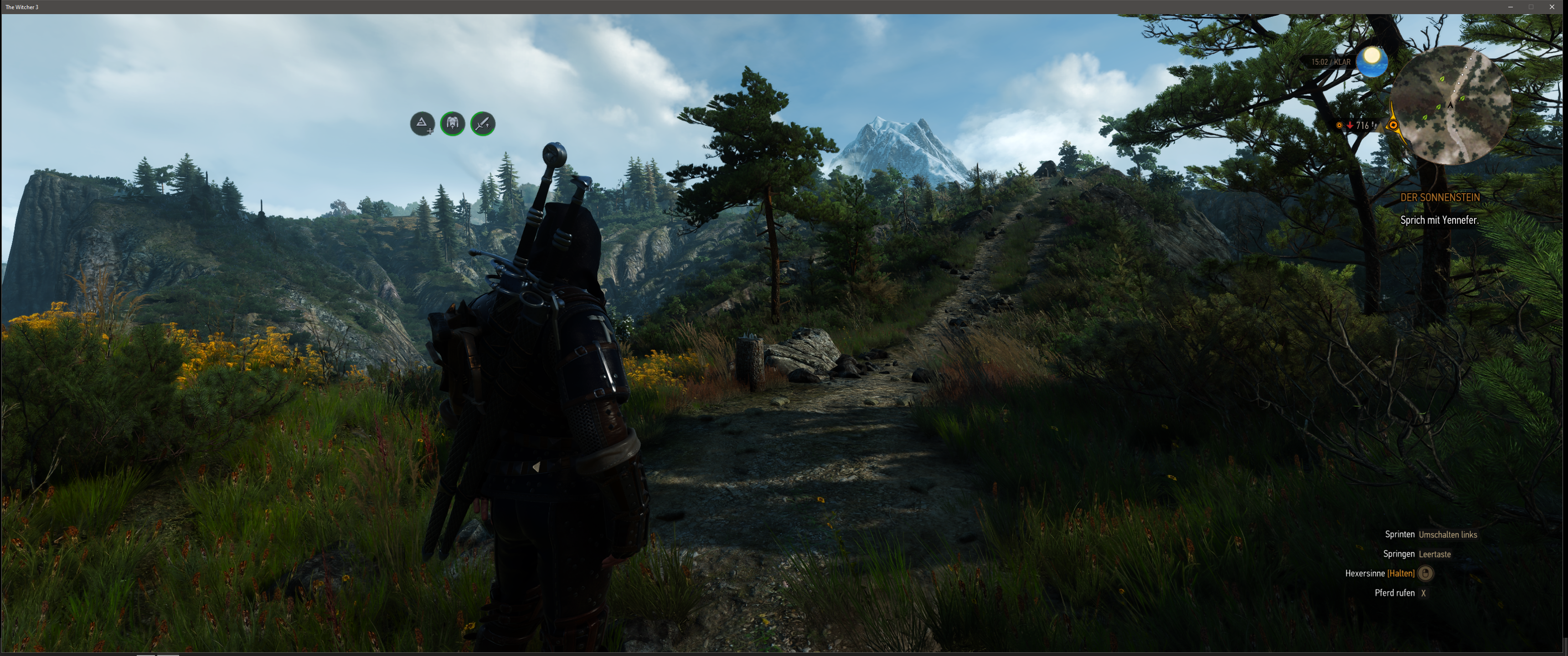 Witcher III (601).png