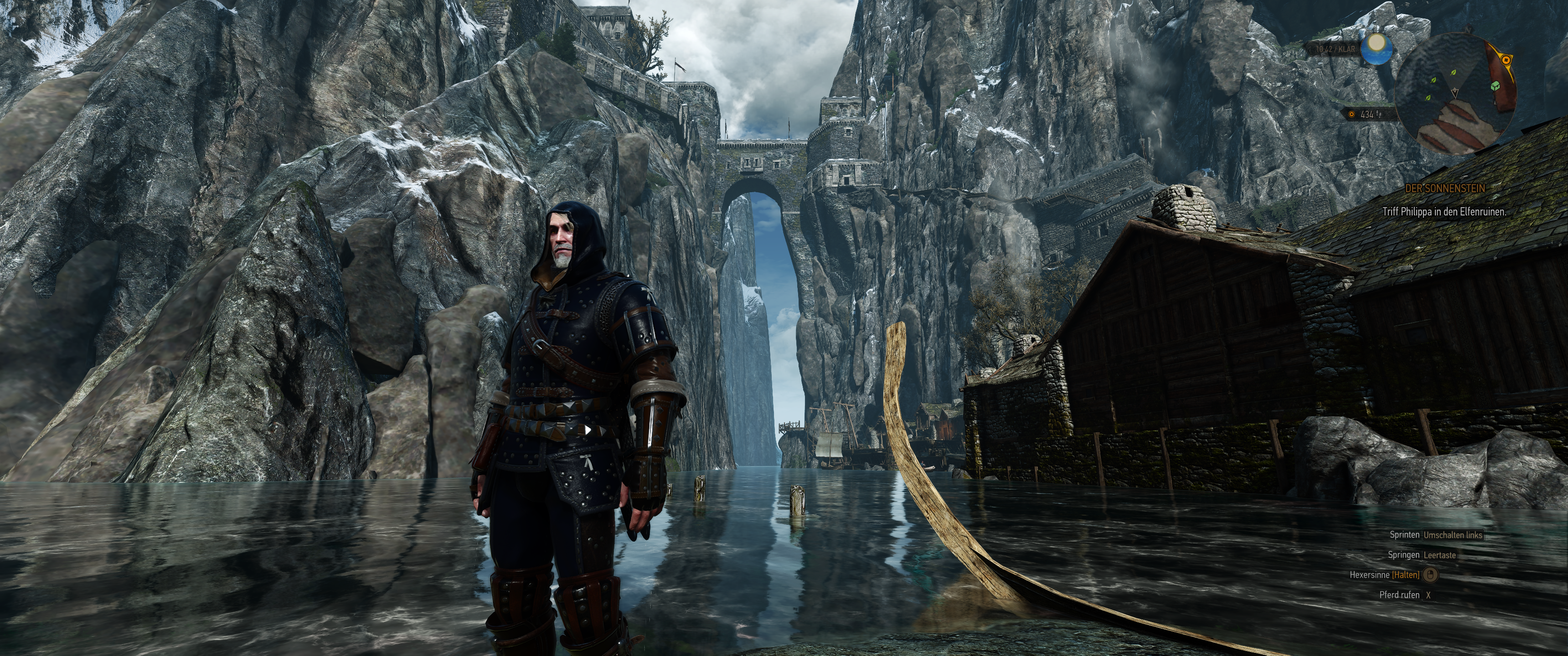 Witcher III (607).png