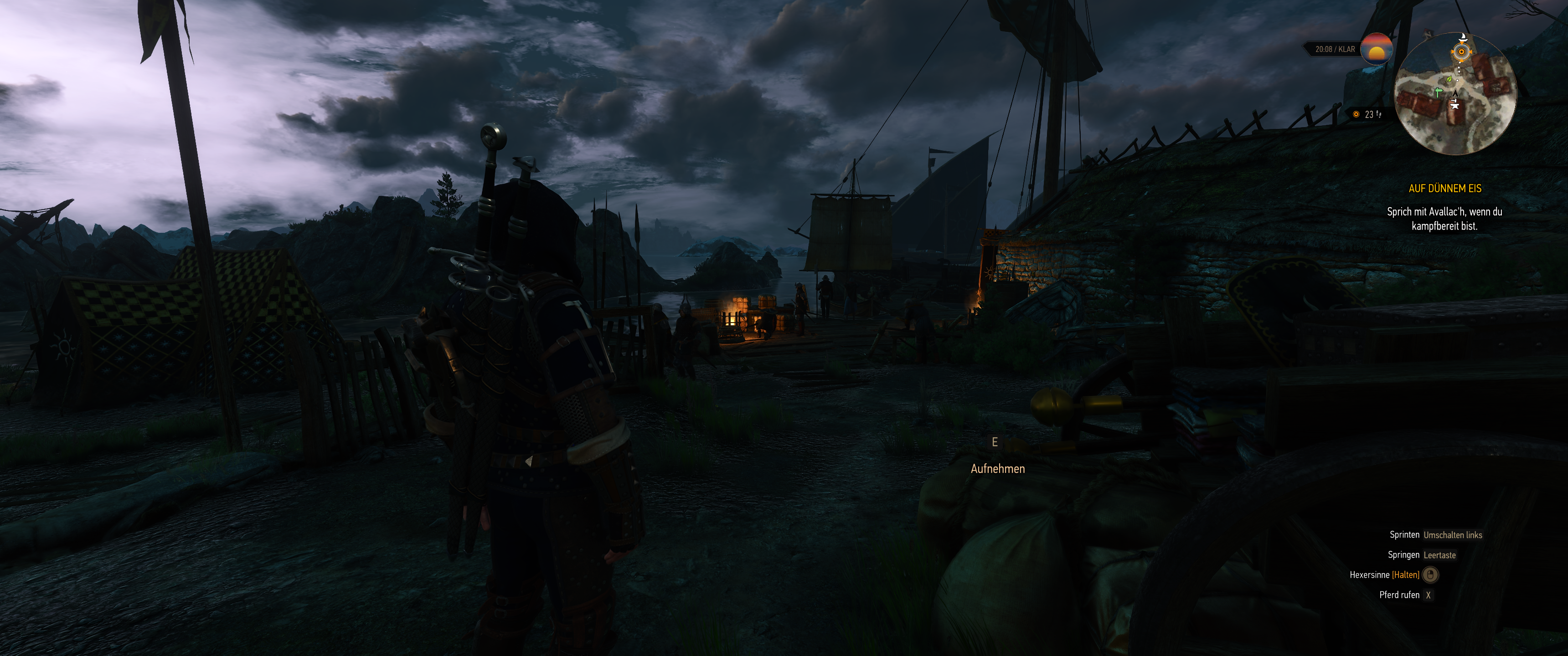 Witcher III (611).png