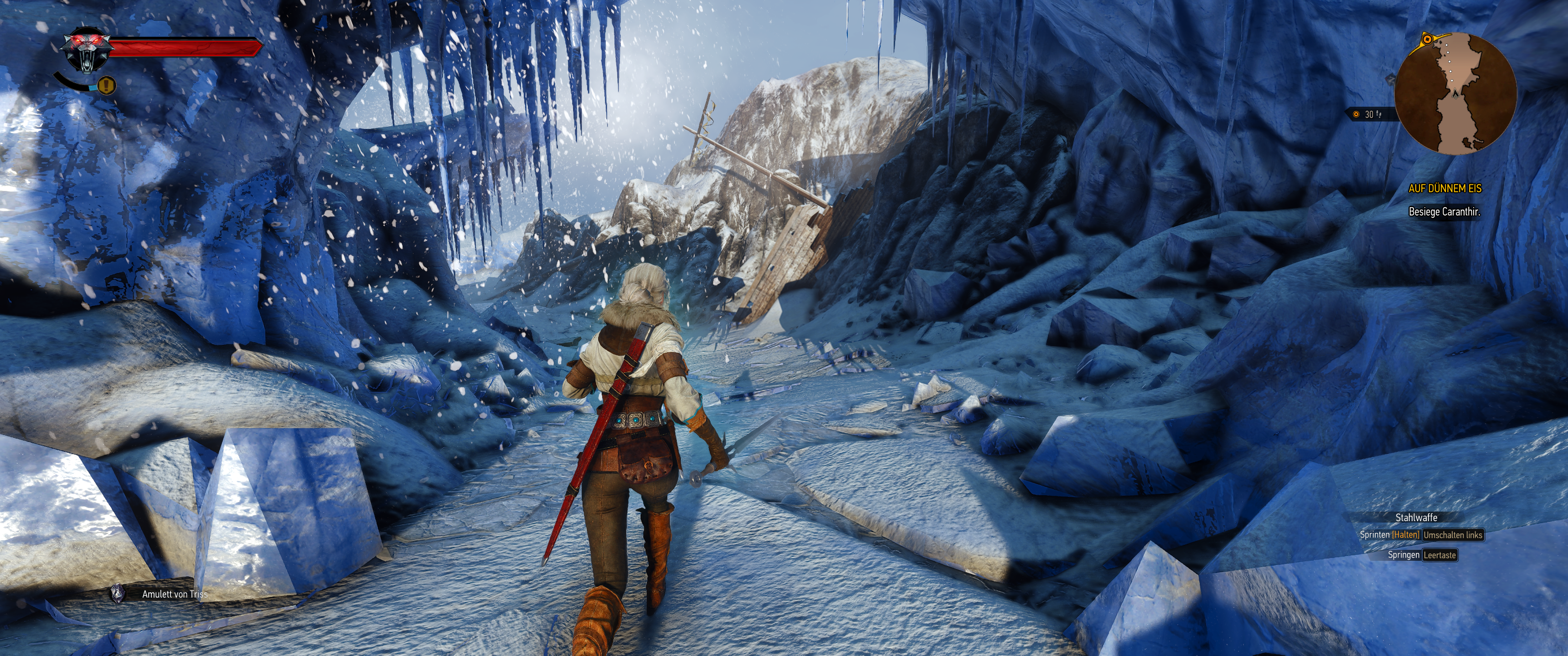 Witcher III (613).png