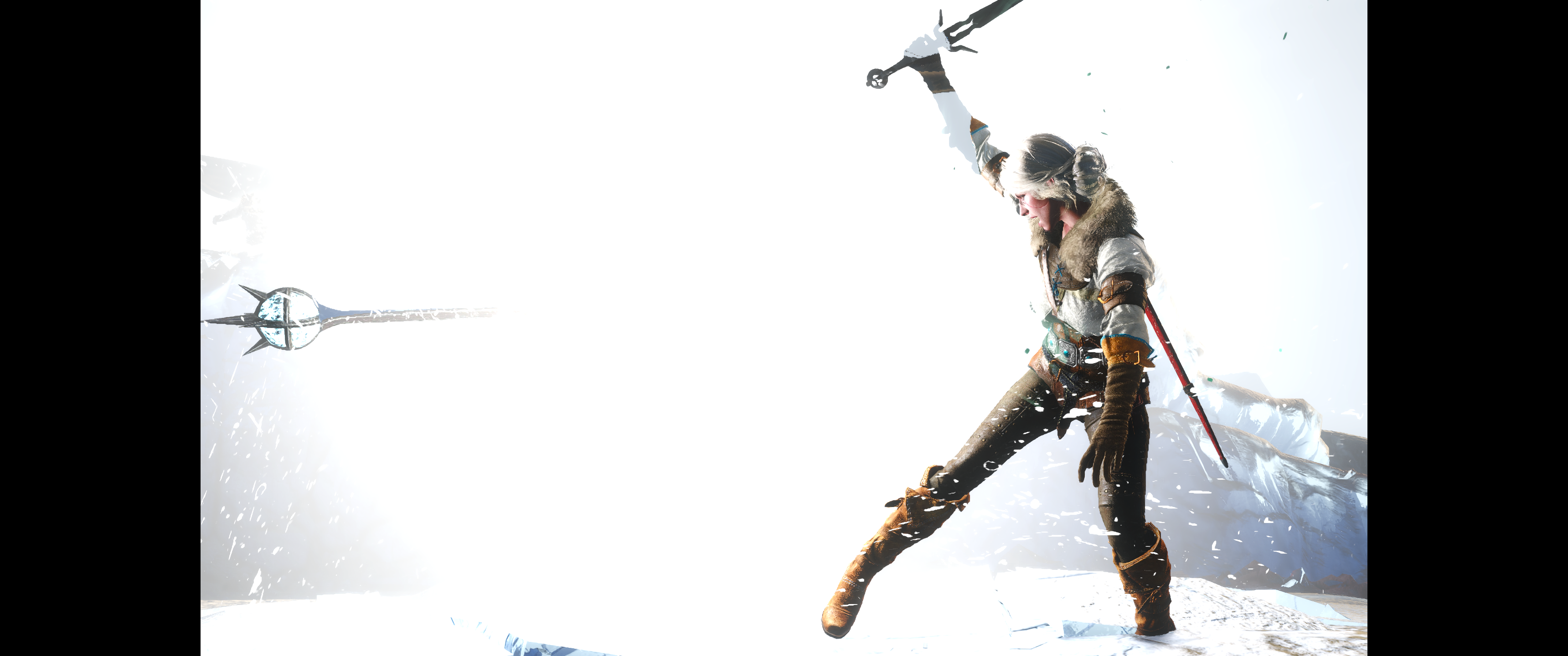 Witcher III (614).png