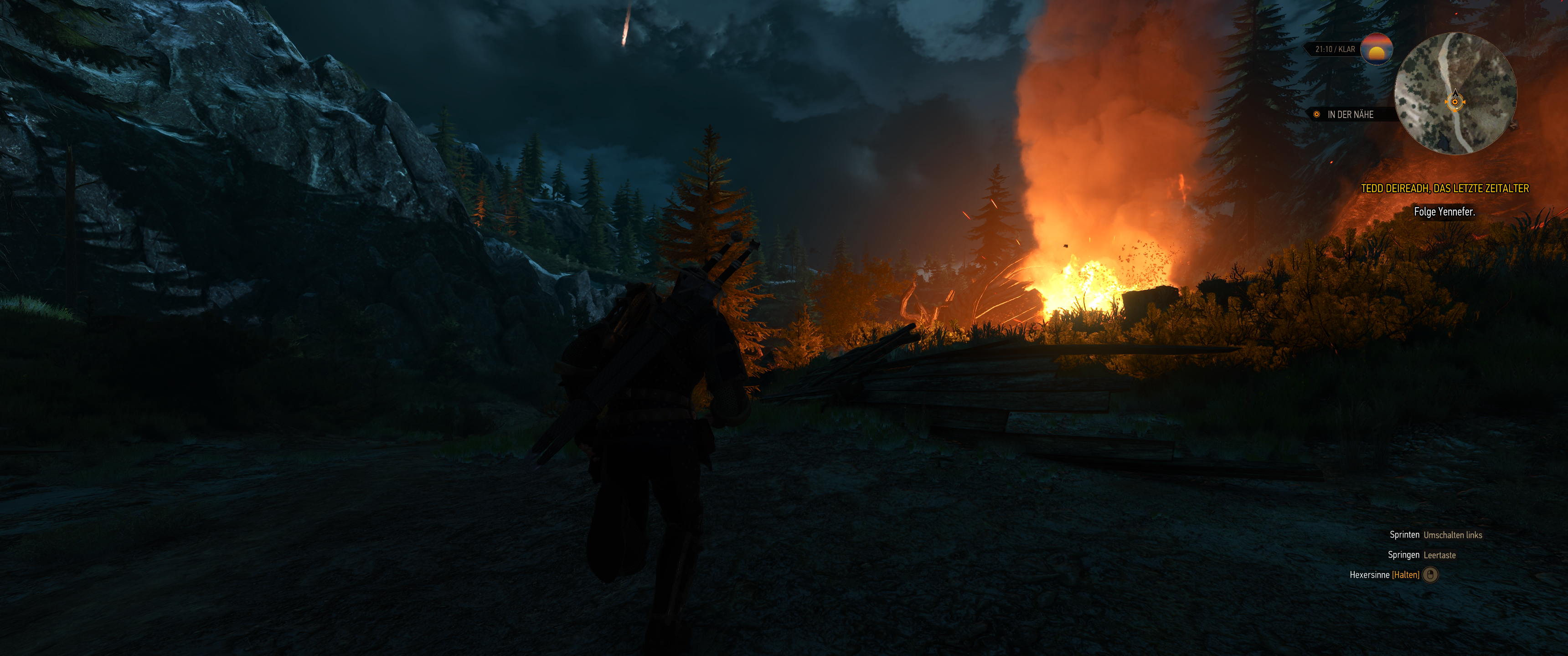 Witcher III (618).png