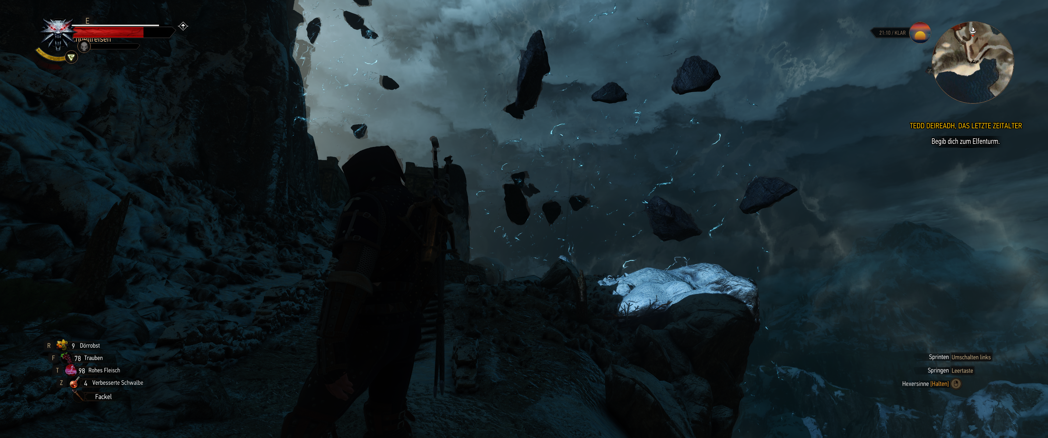 Witcher III (619).png