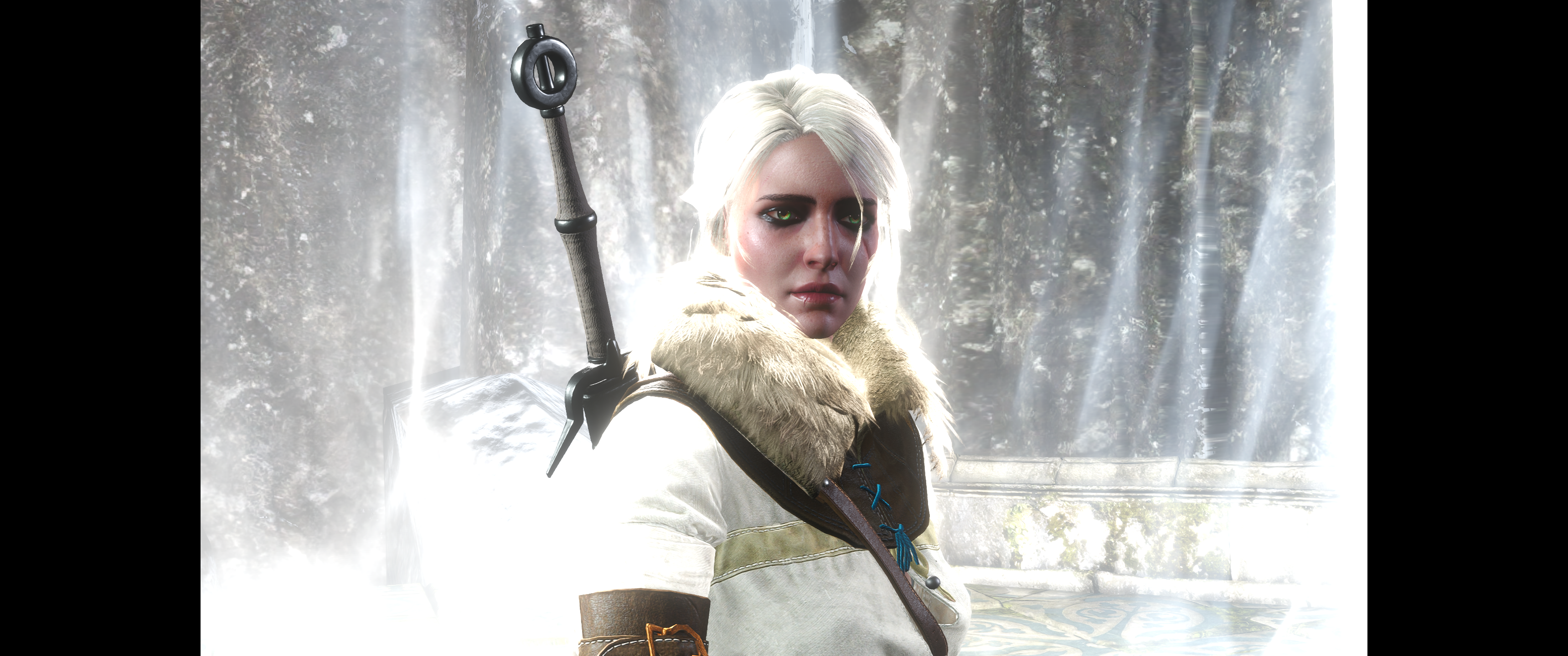 Witcher III (621).png