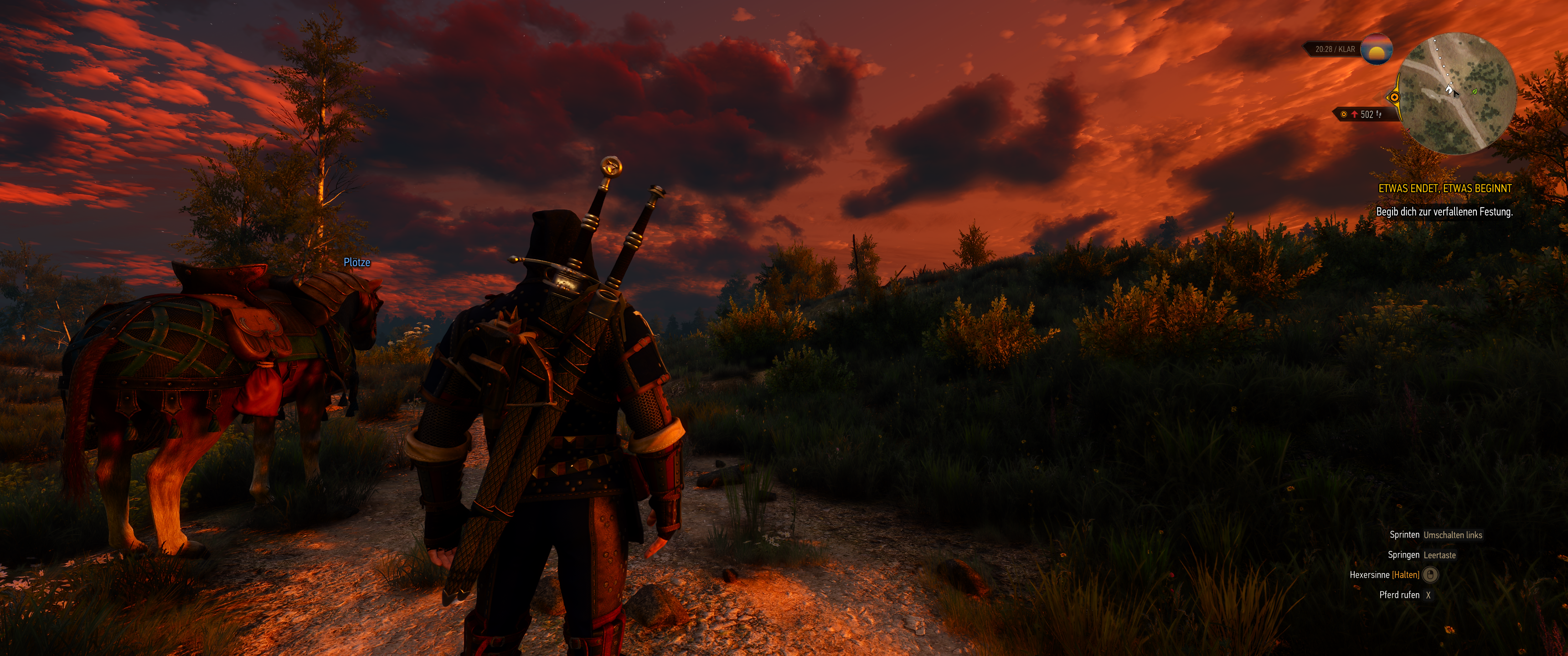 Witcher III (623).png