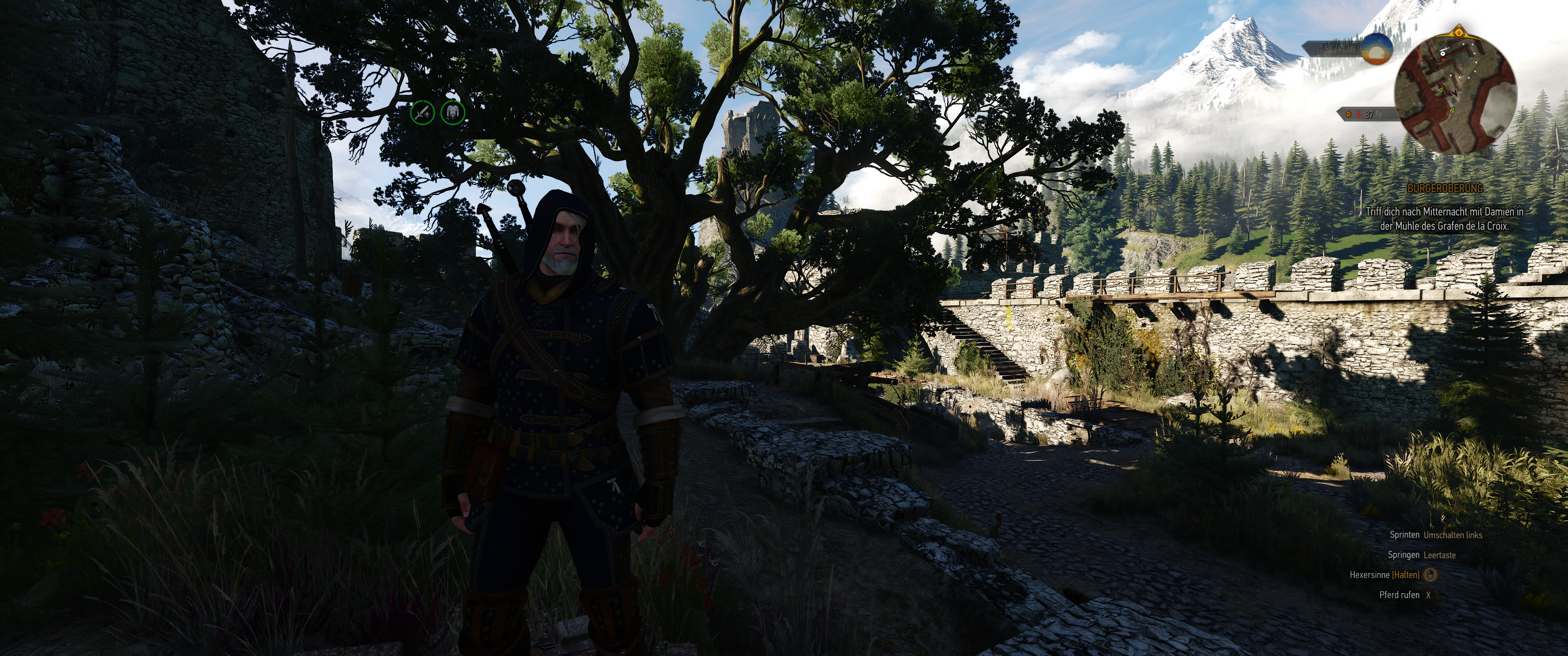 Witcher III (626).png