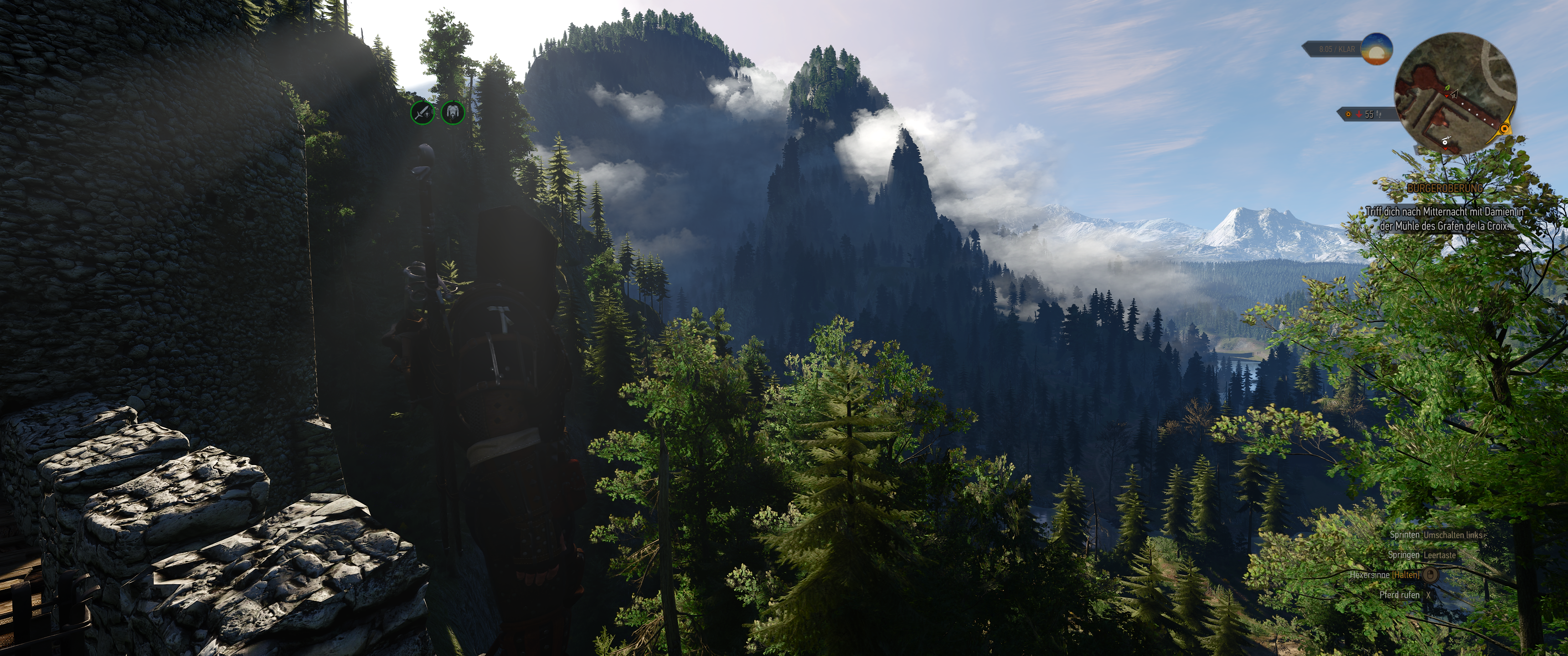 Witcher III (627).png