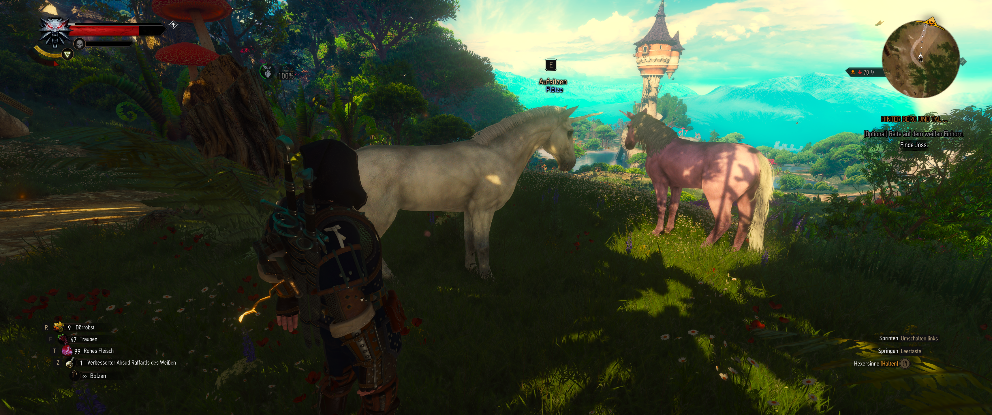 Witcher III (641).png