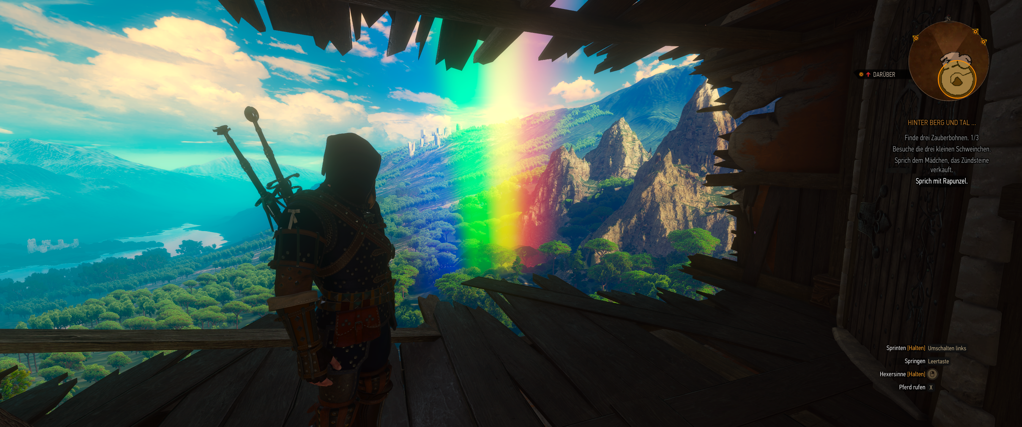 Witcher III (646).png