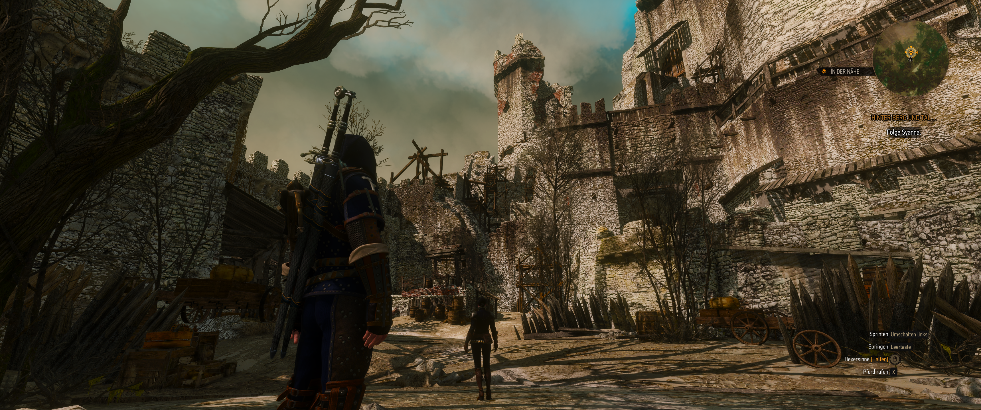 Witcher III (653).png