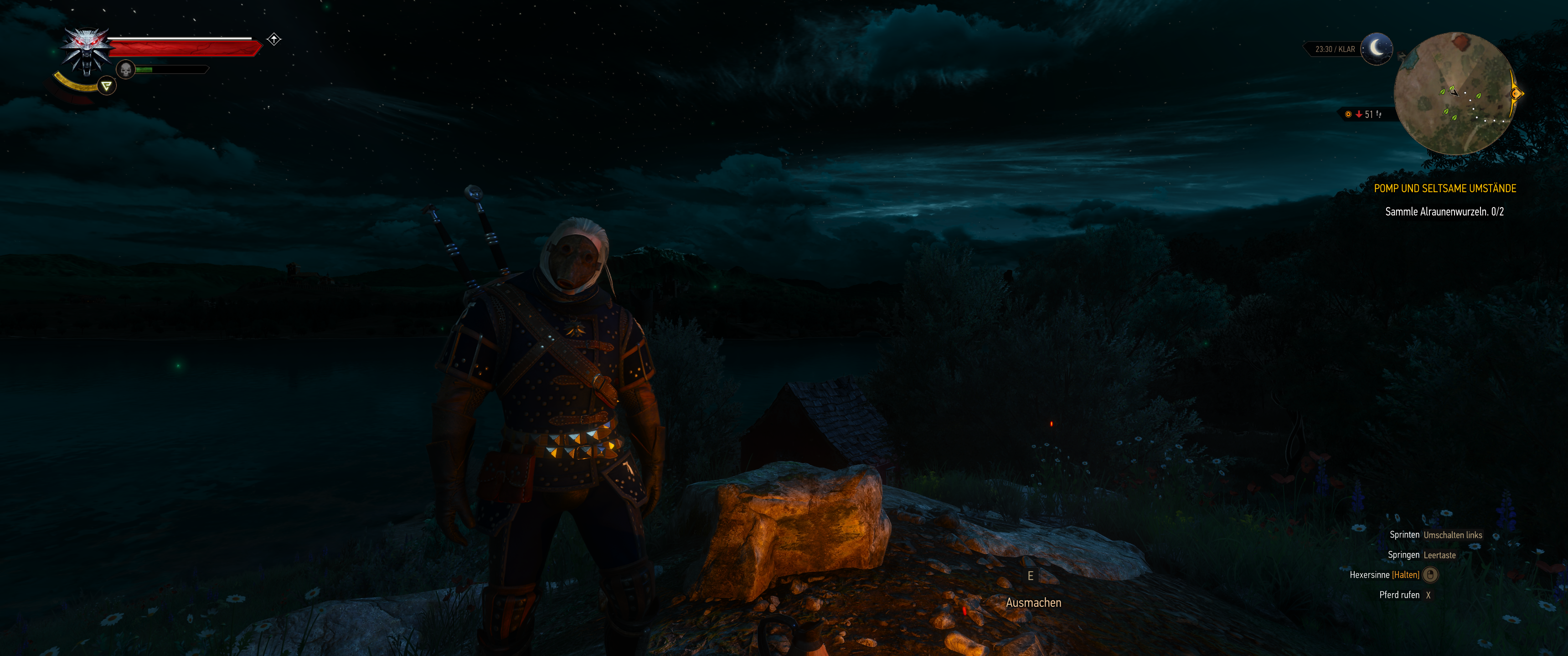 Witcher III (662).png