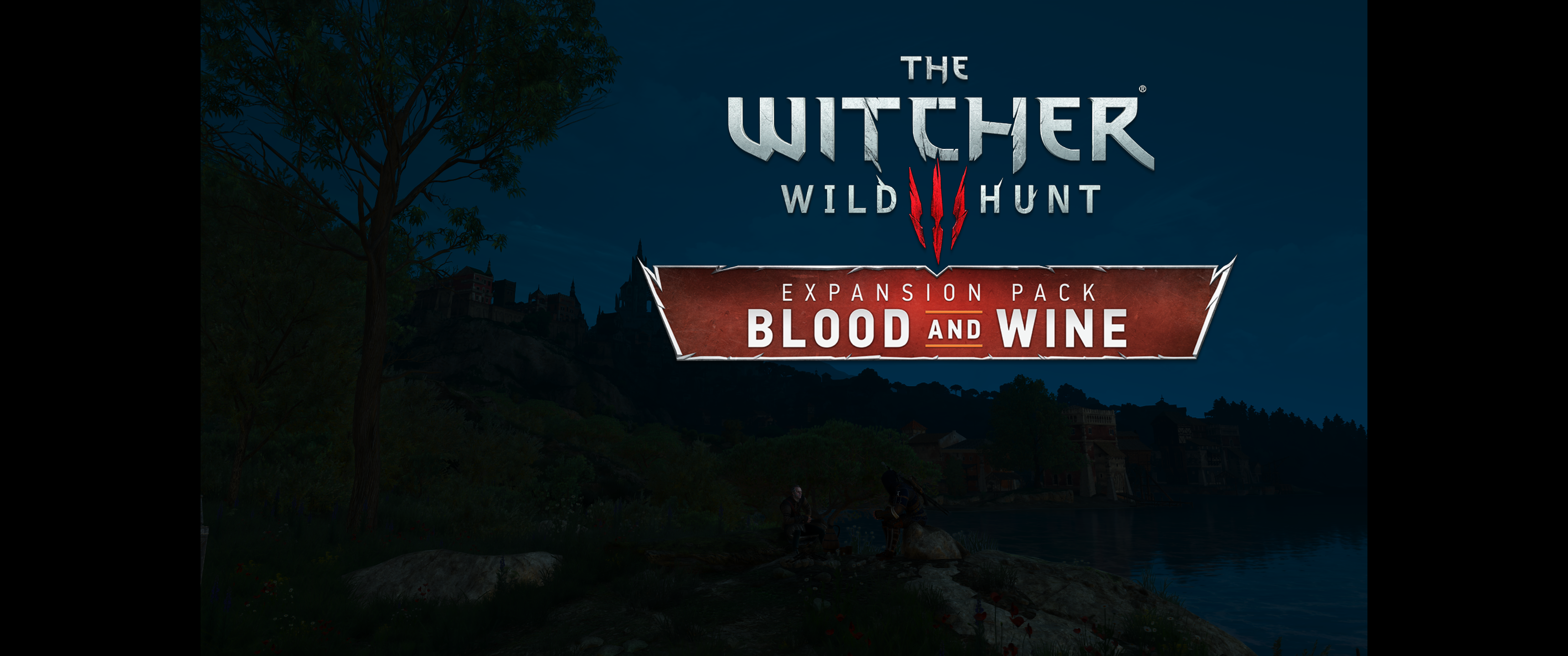 Witcher III (662).png