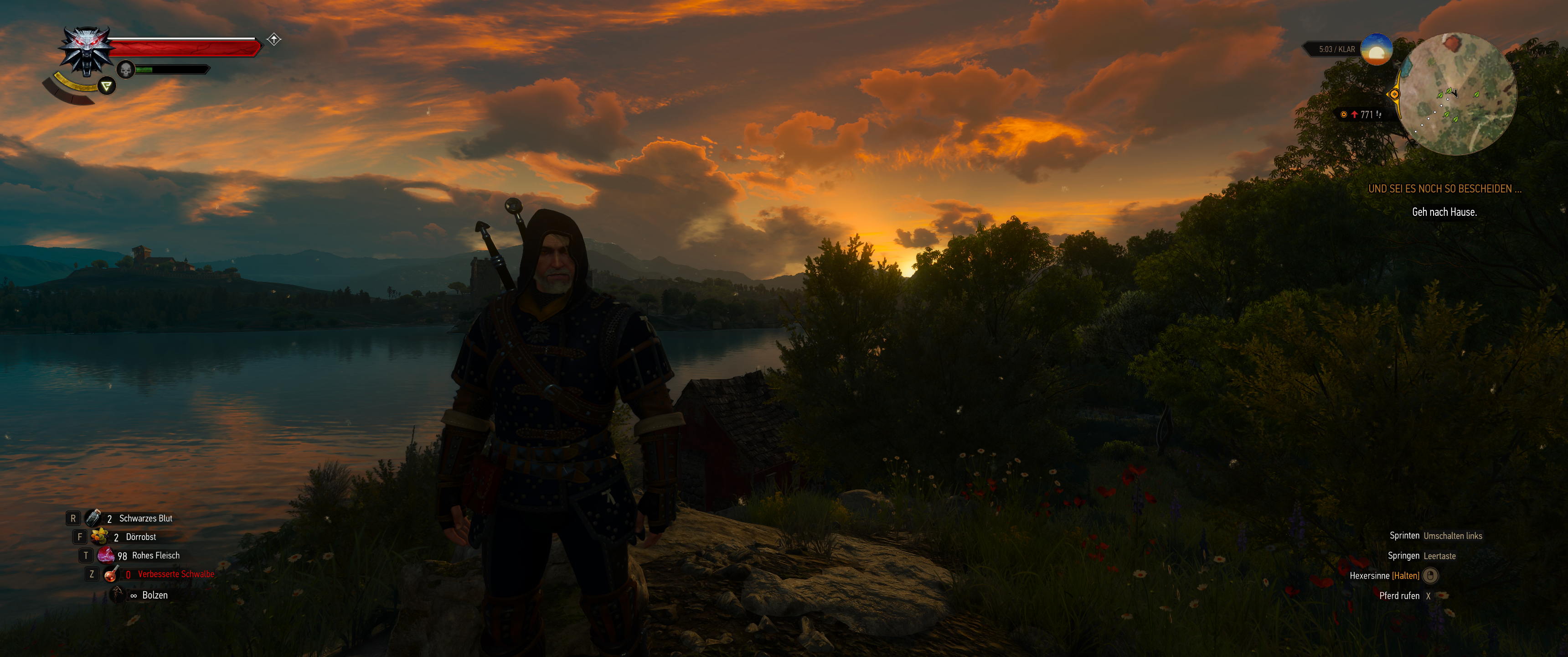 Witcher III (664).png