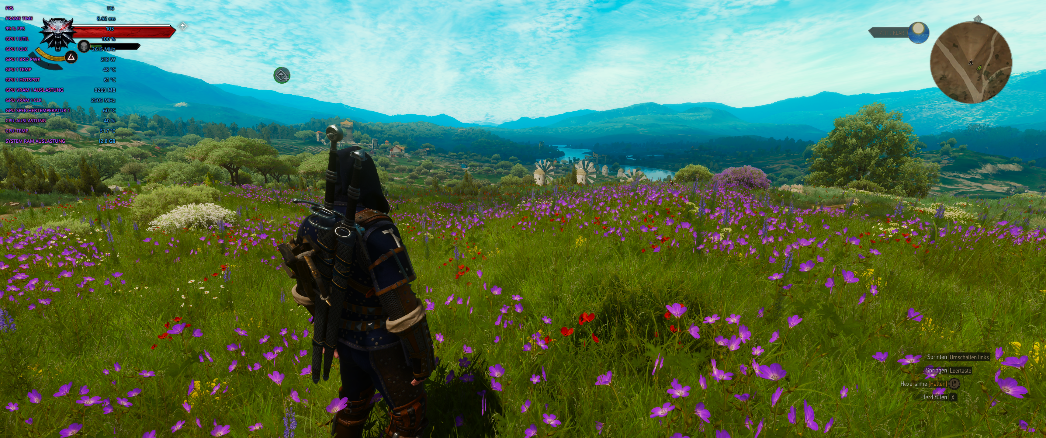 Witcher III (667).png