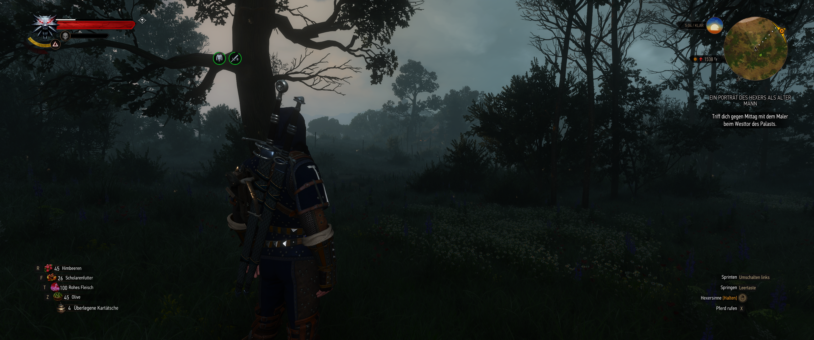 Witcher III (671).png