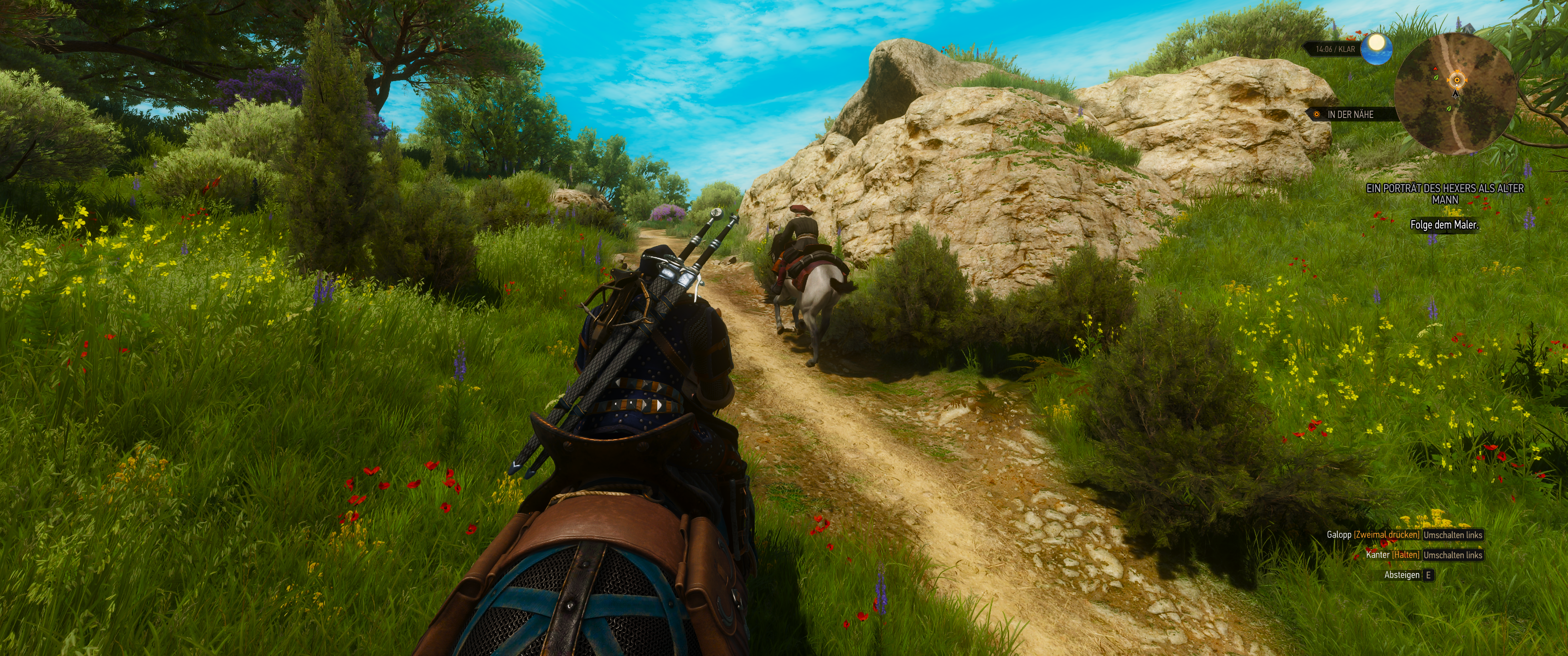 Witcher III (672).png