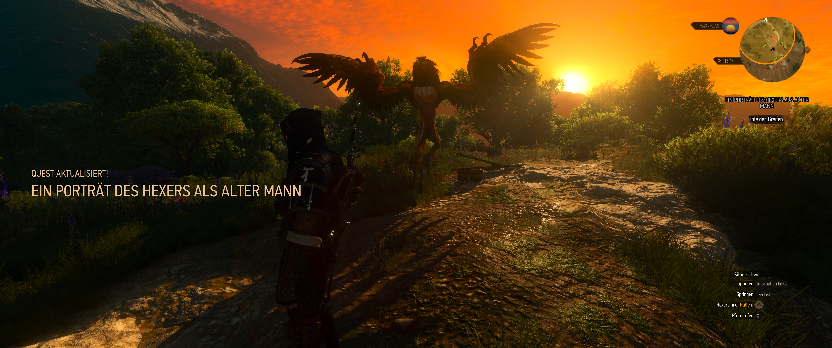 Witcher III (673).png