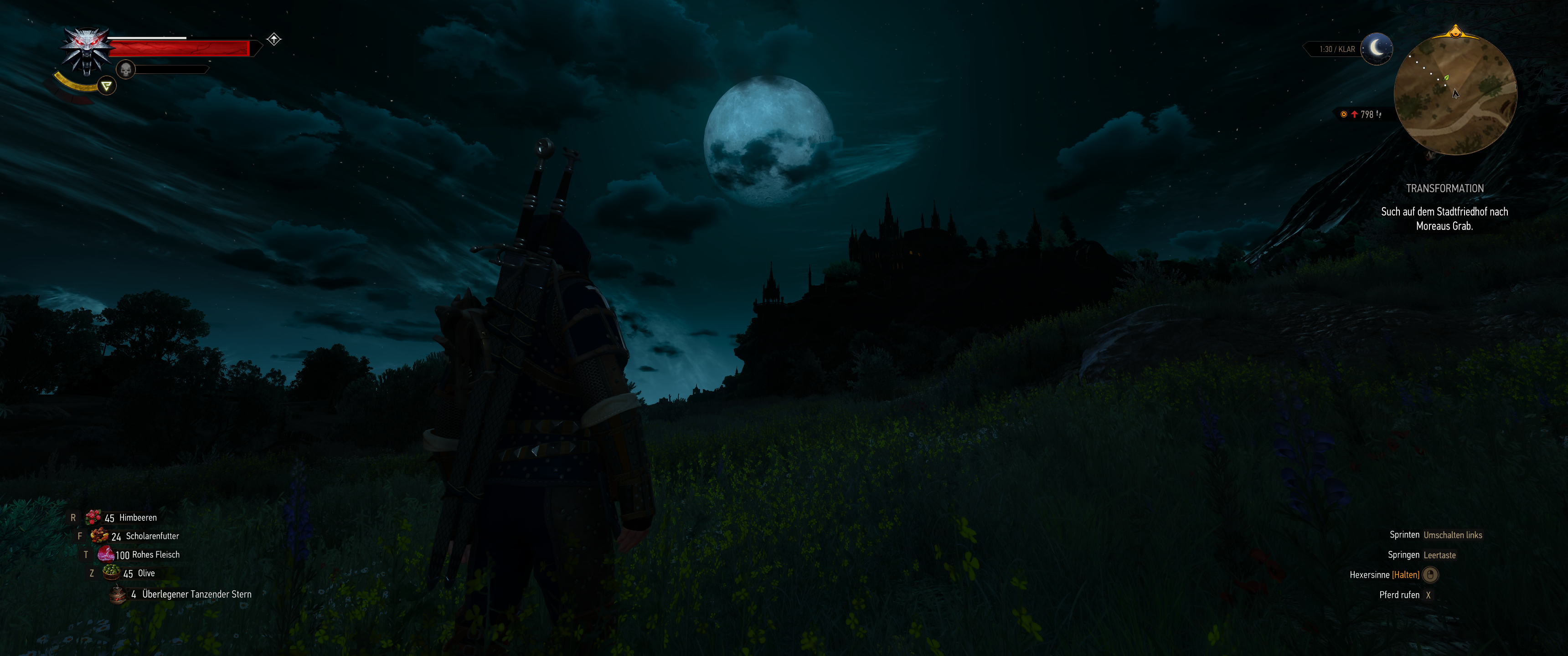 Witcher III (679).png