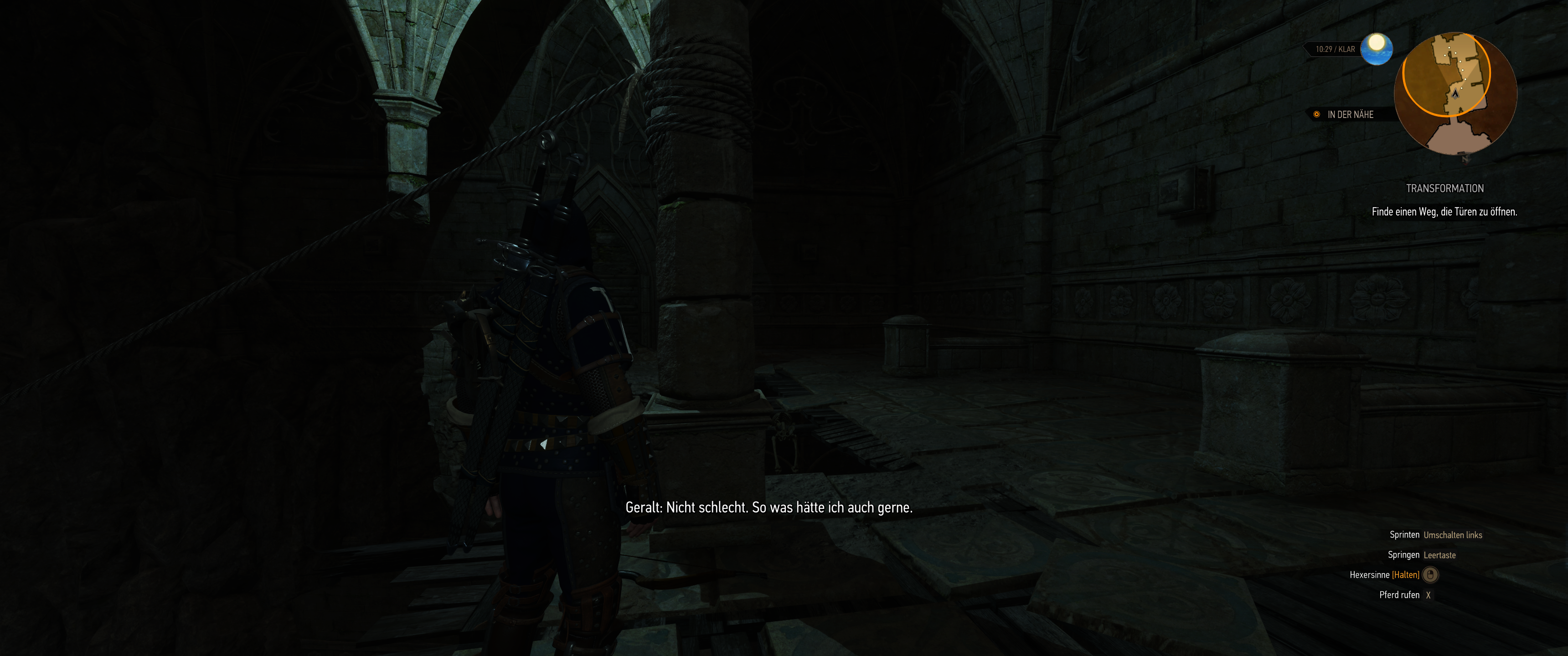 Witcher III (680).png