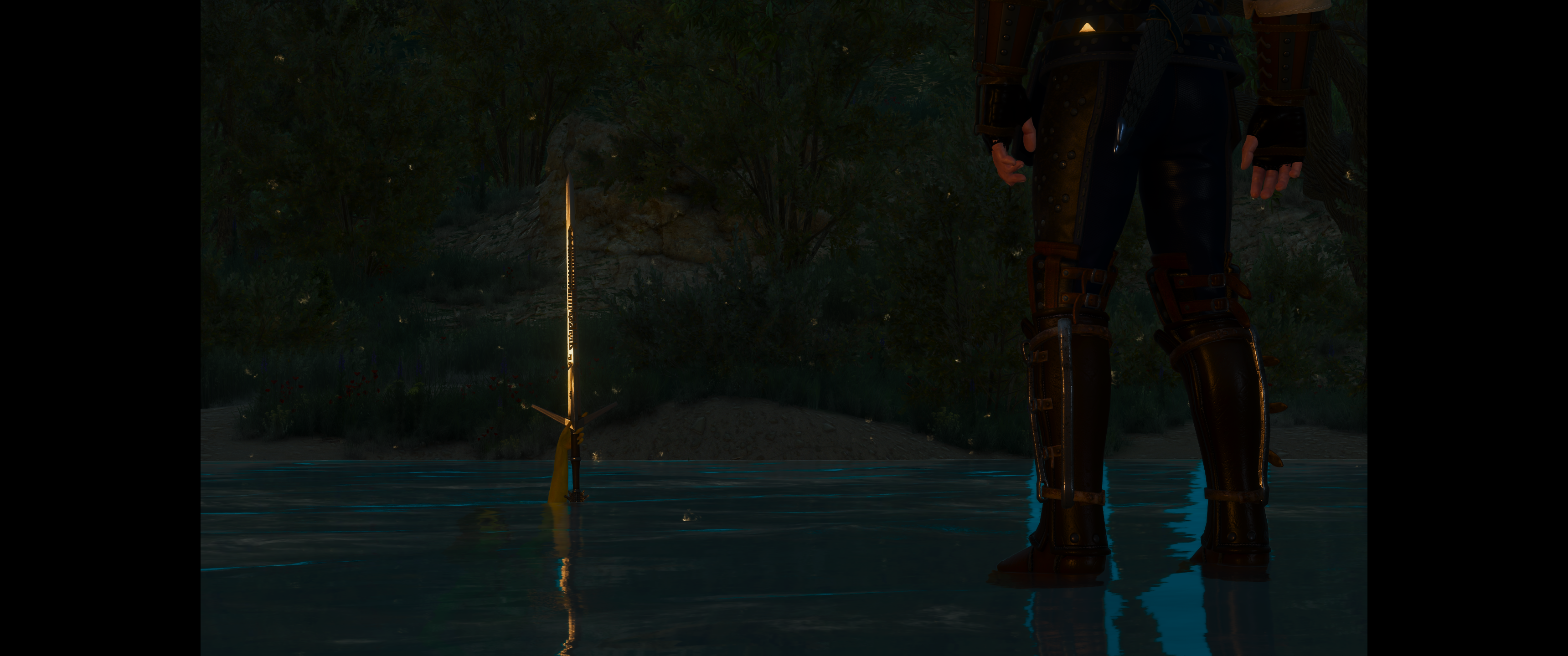 Witcher III (685).png