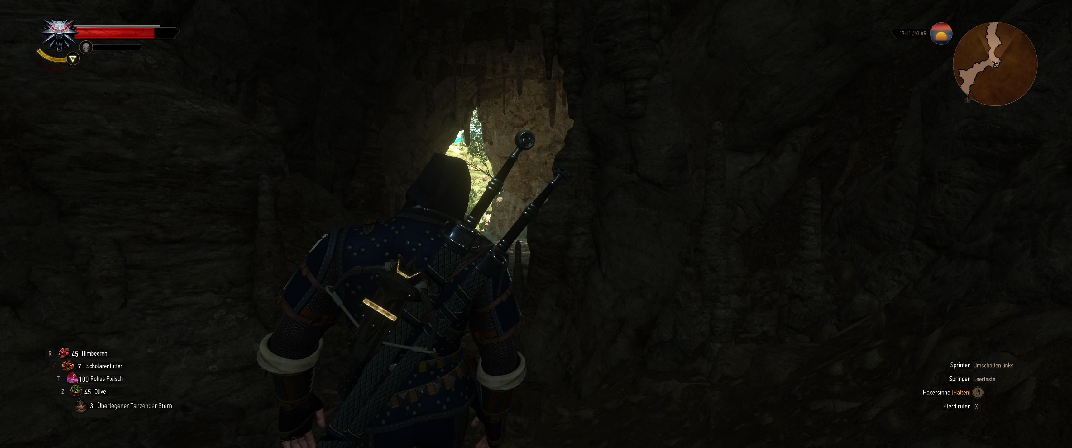 Witcher III (689).png