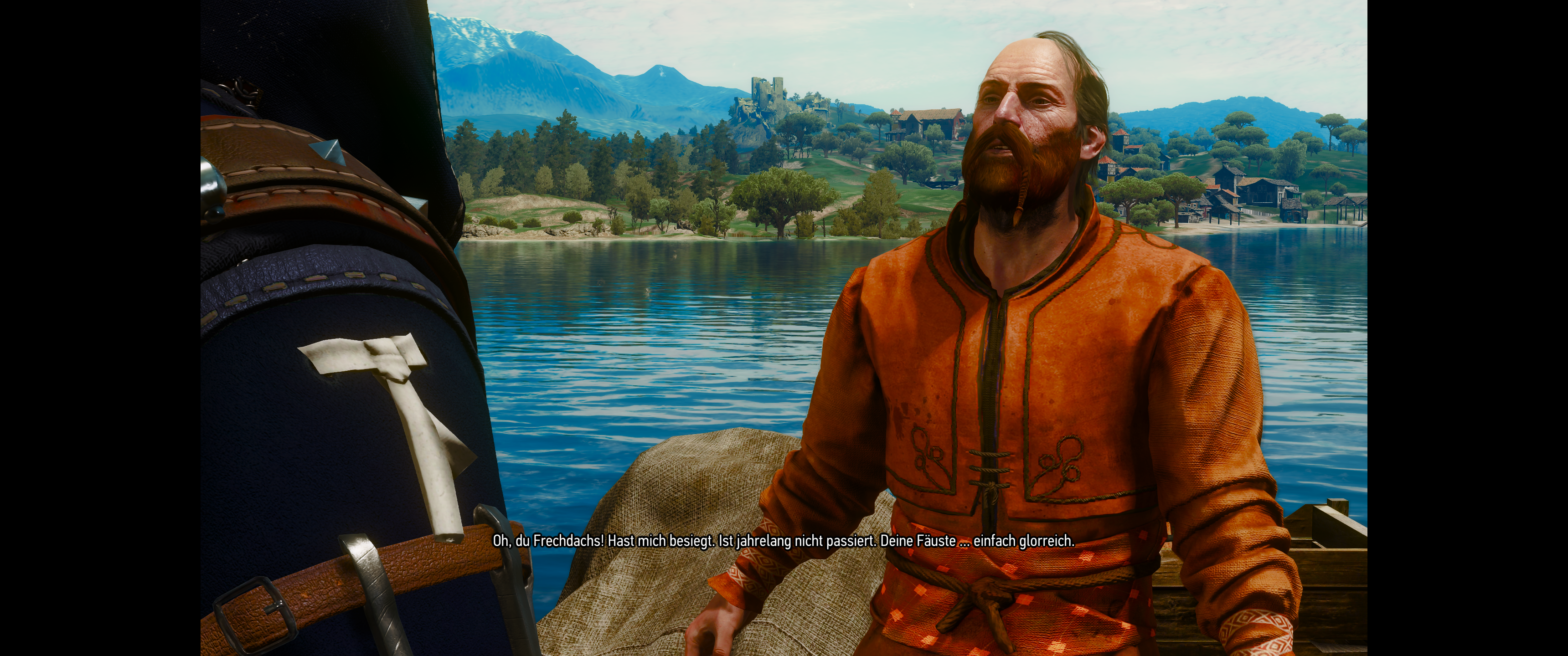 Witcher III (694).png