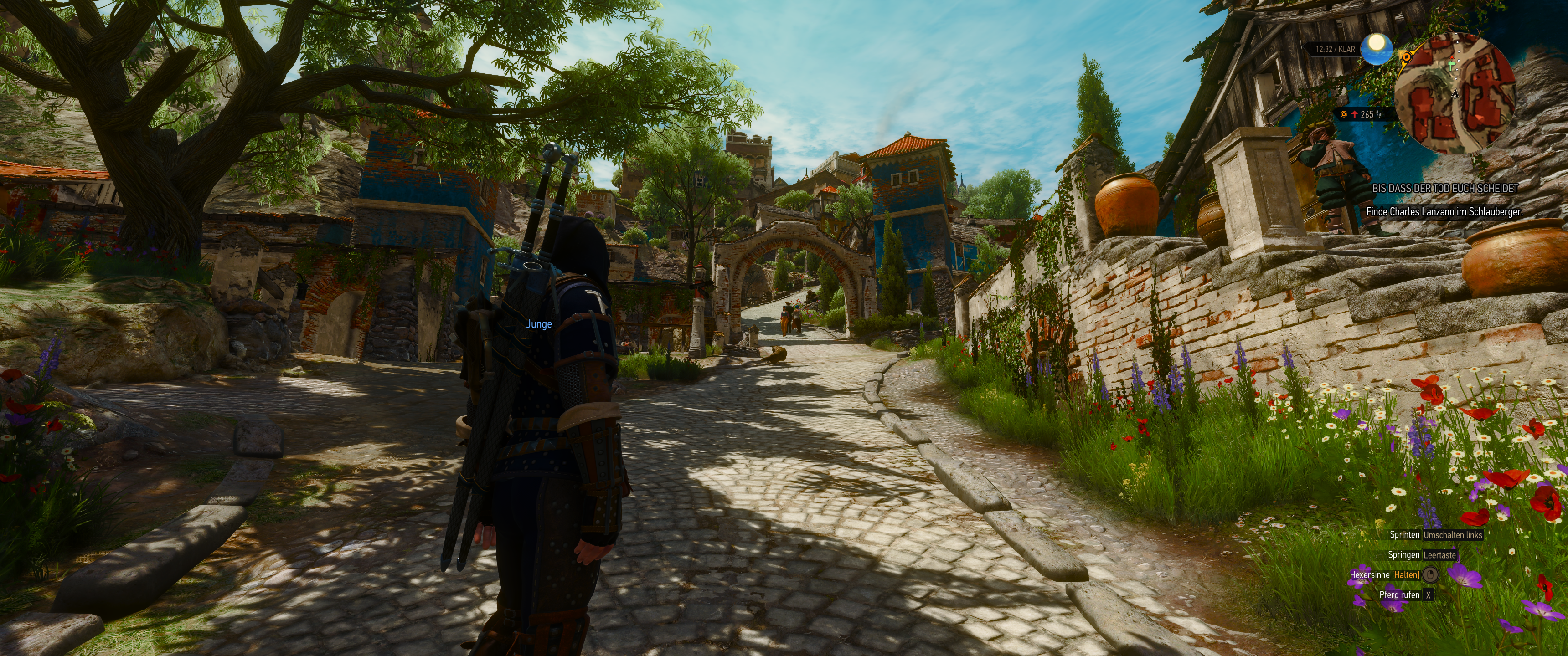 Witcher III (695).png