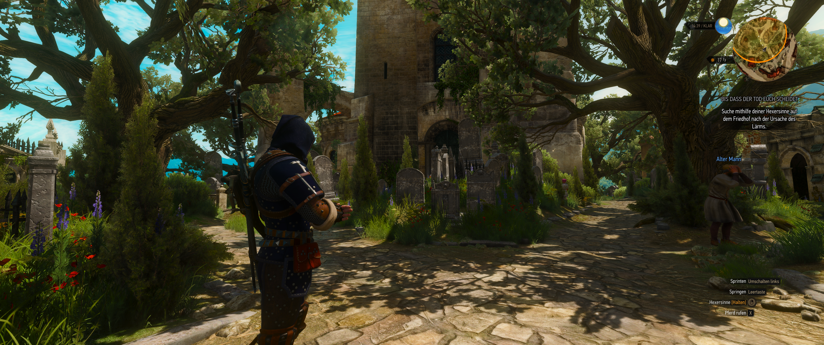 Witcher III (696).png