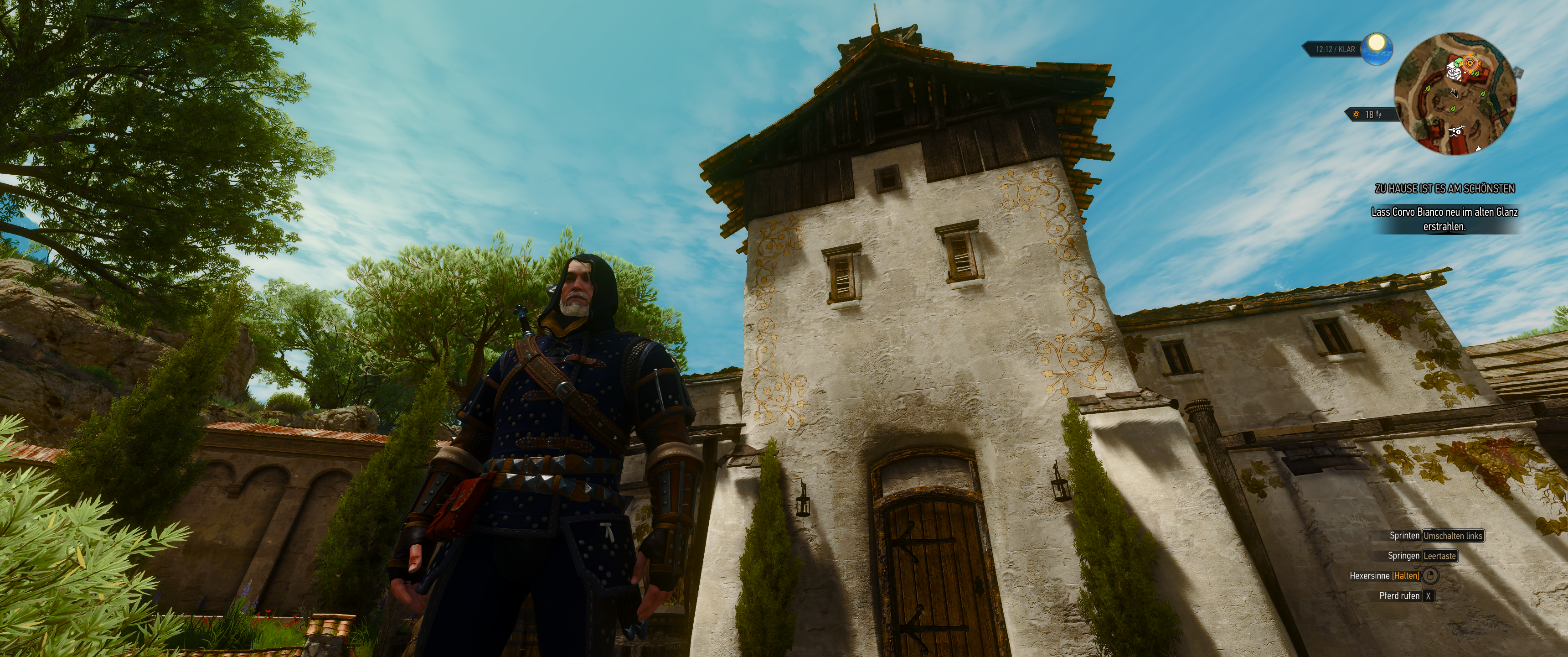 Witcher III (697).png