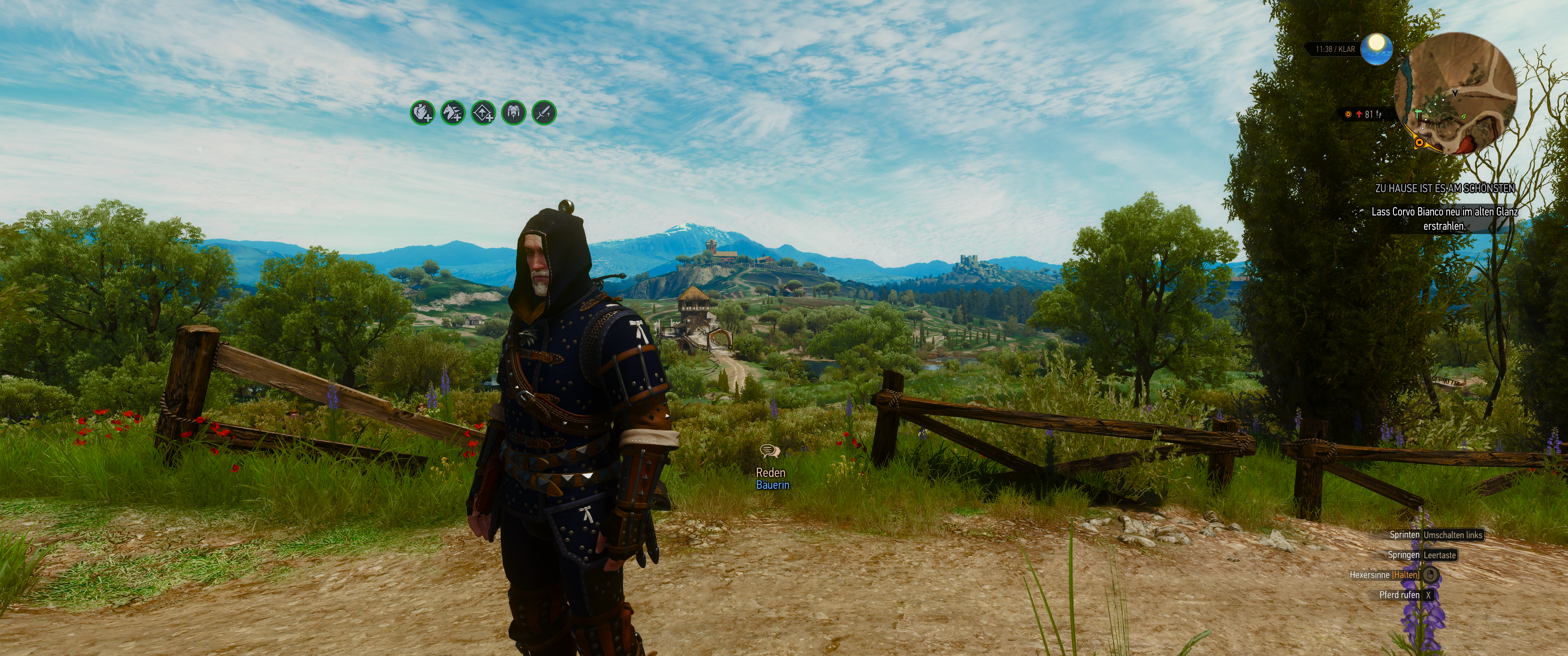 Witcher III (698).png