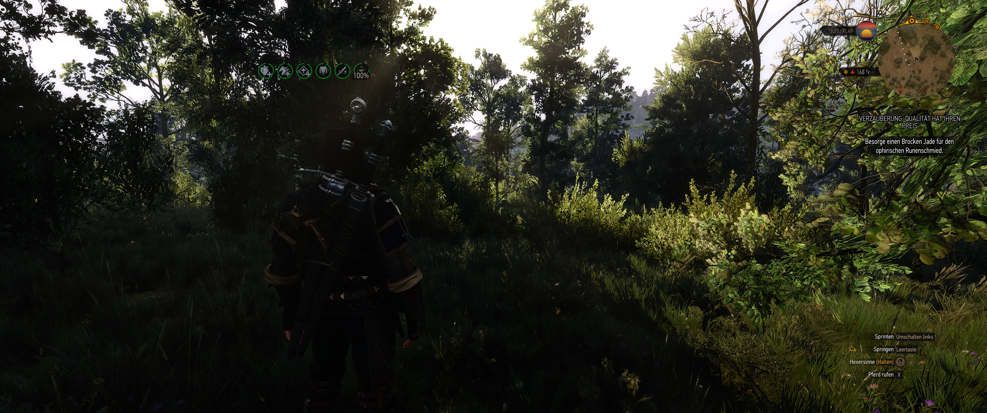 Witcher III (699).png