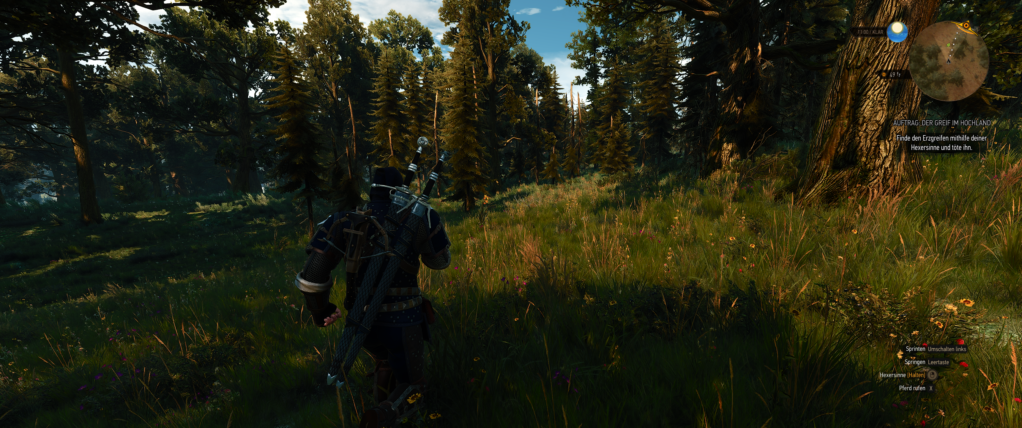 Witcher III (703).png