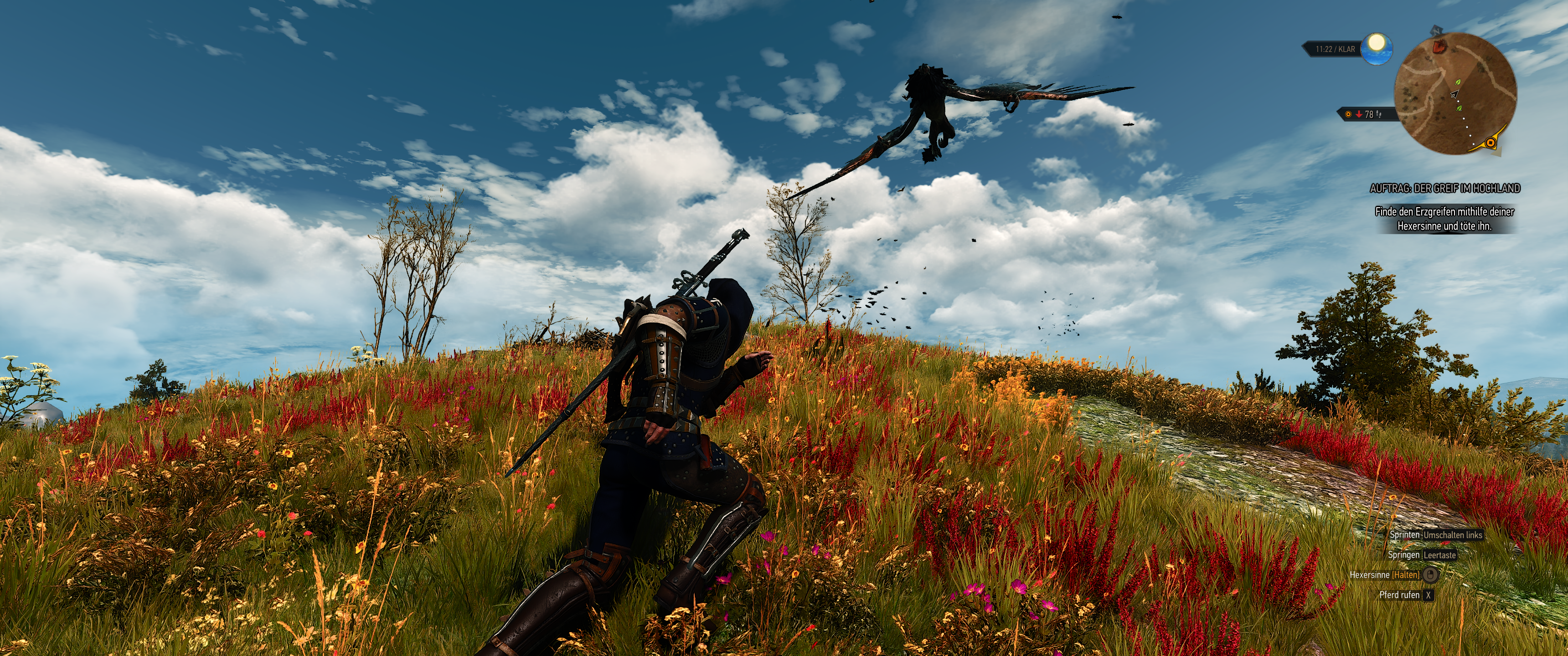 Witcher III (705).png