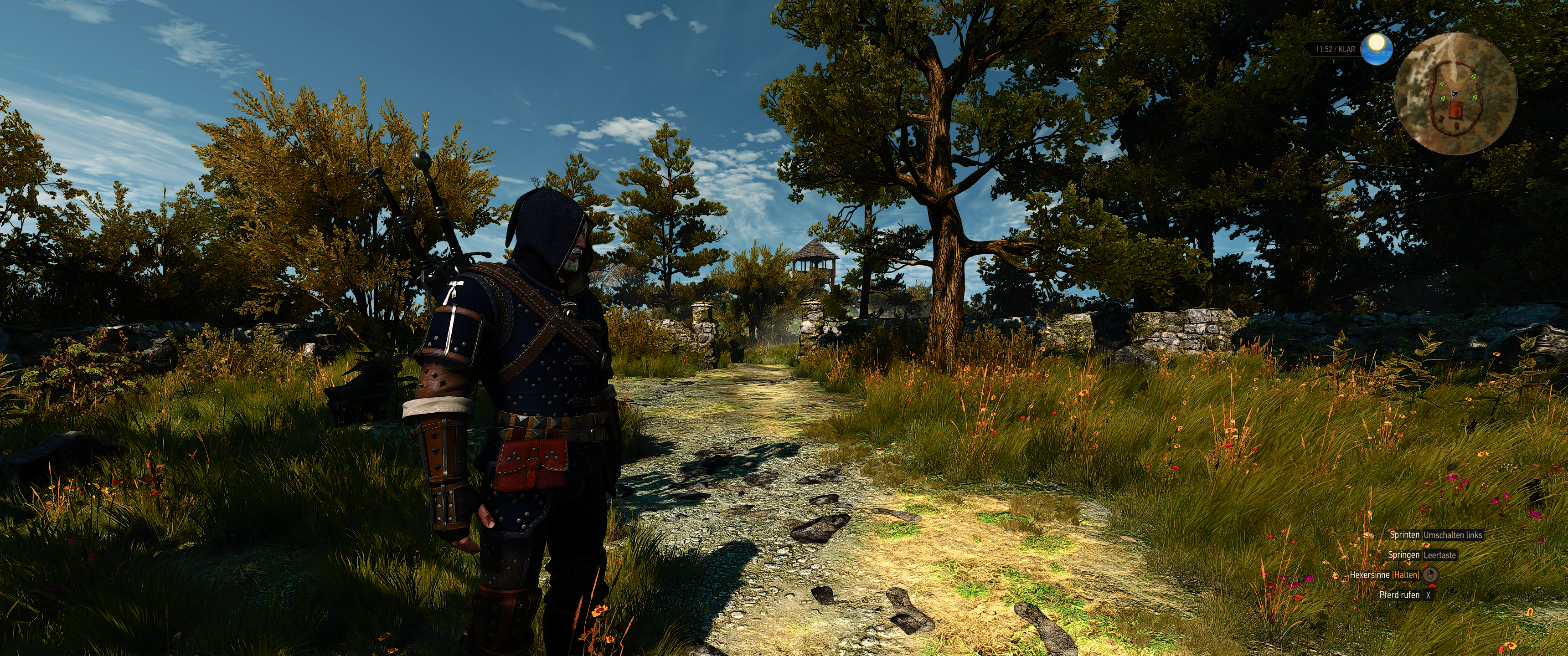 Witcher III (710).png