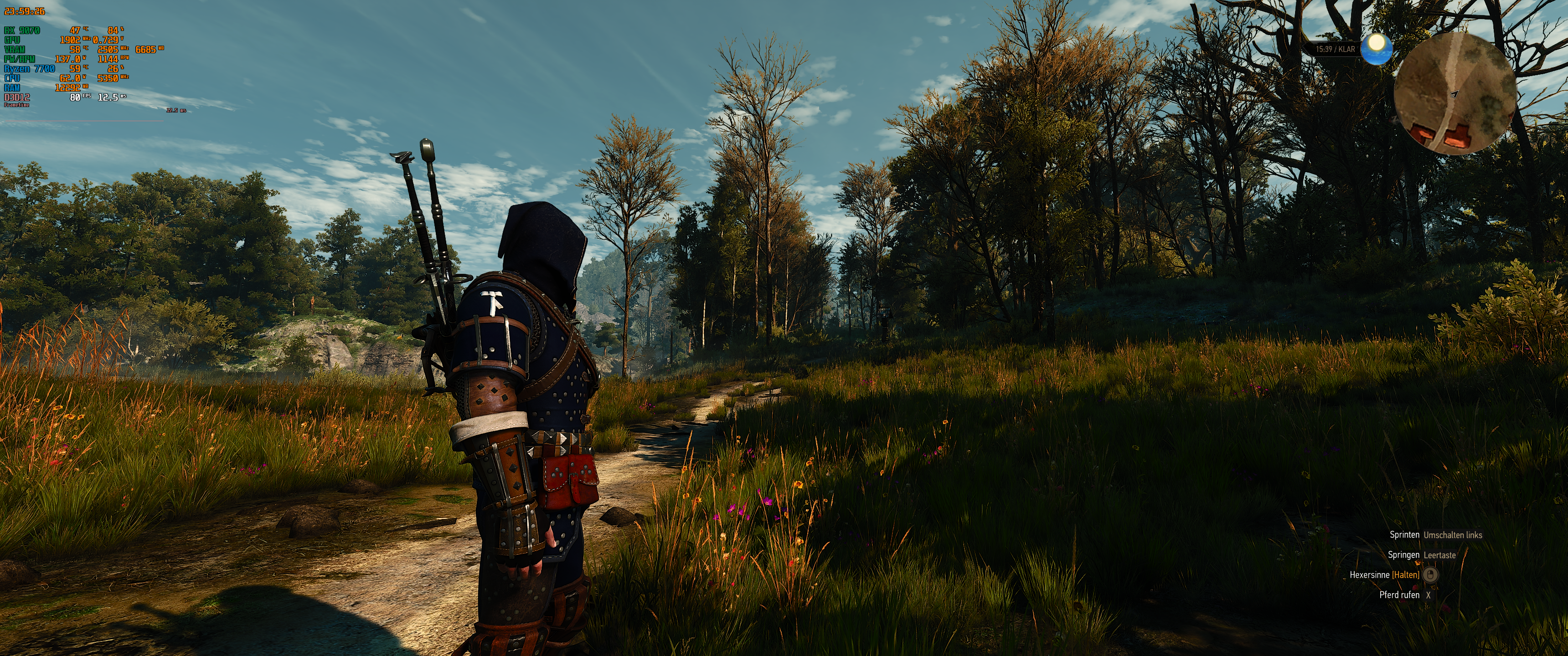 Witcher III (712).png