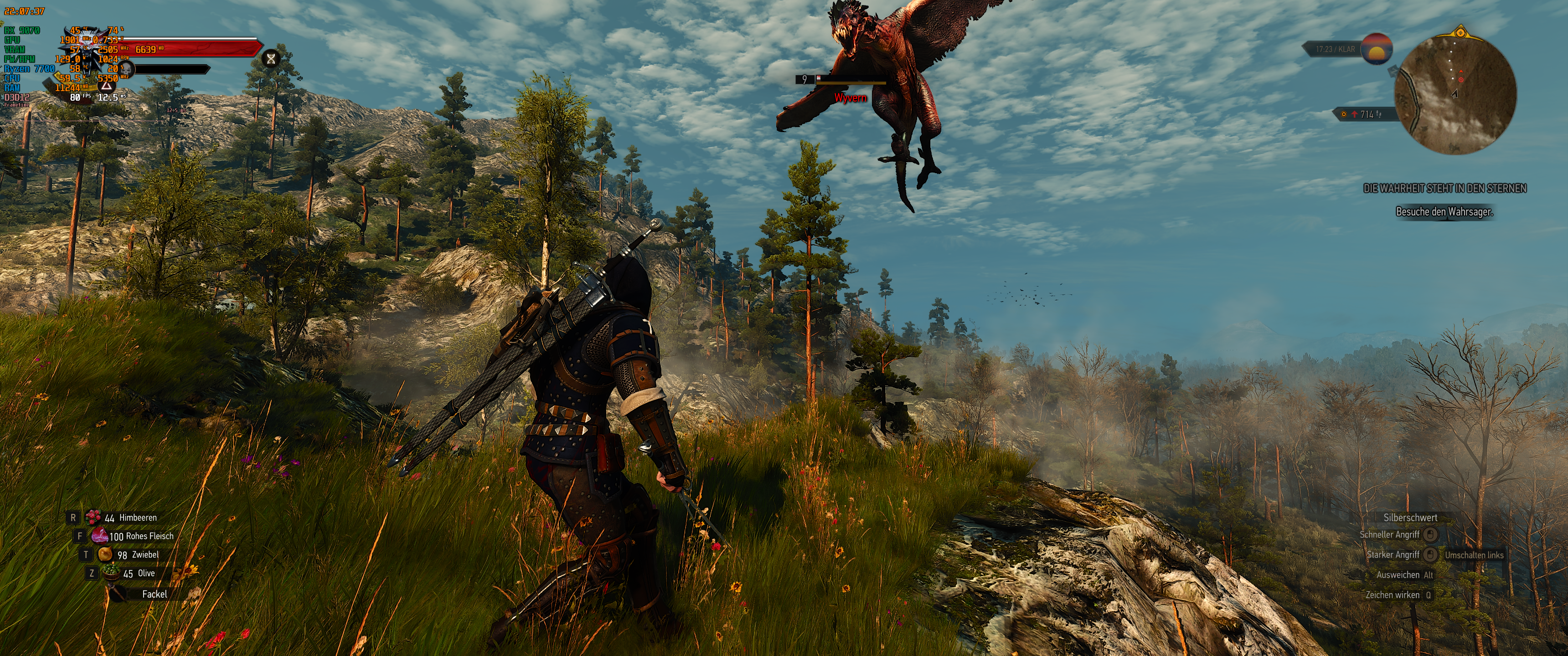 Witcher III (713).png