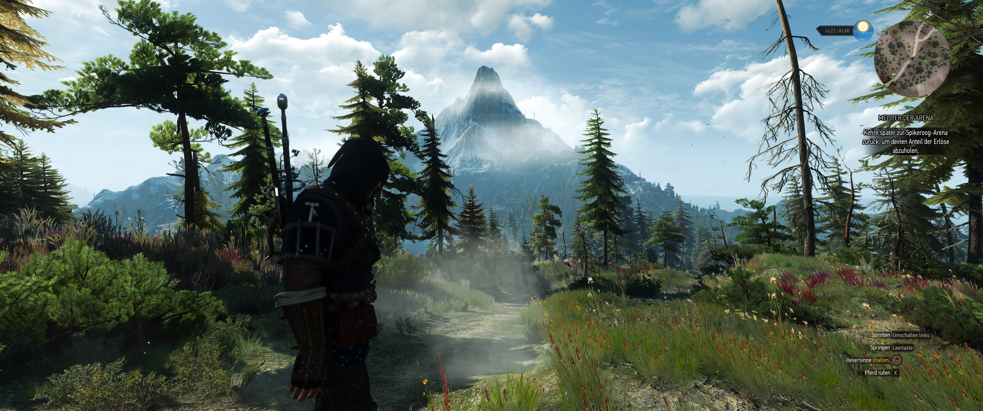 Witcher III (717).png