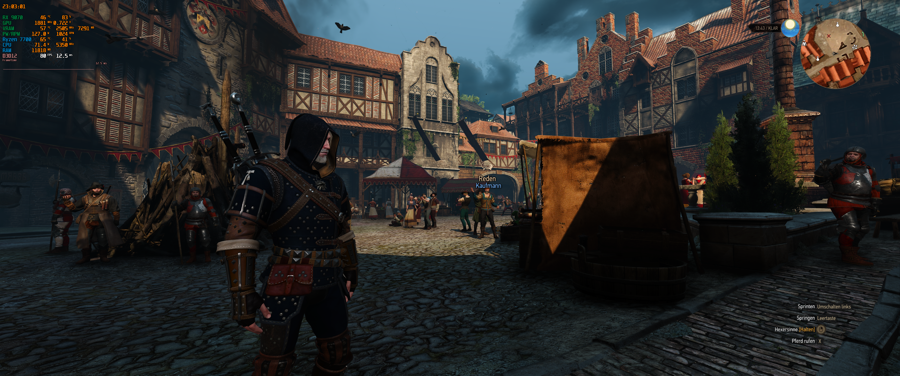 Witcher III (718).png