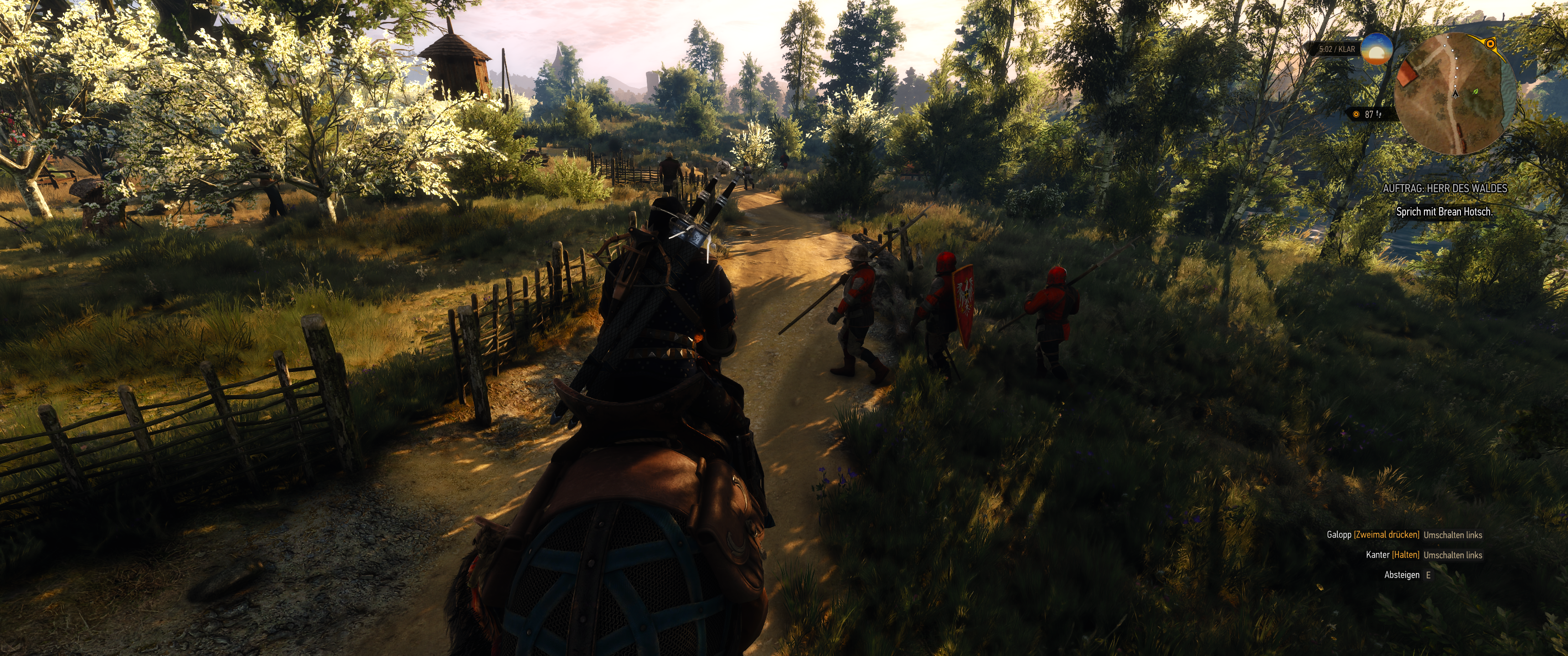 Witcher III (726).png