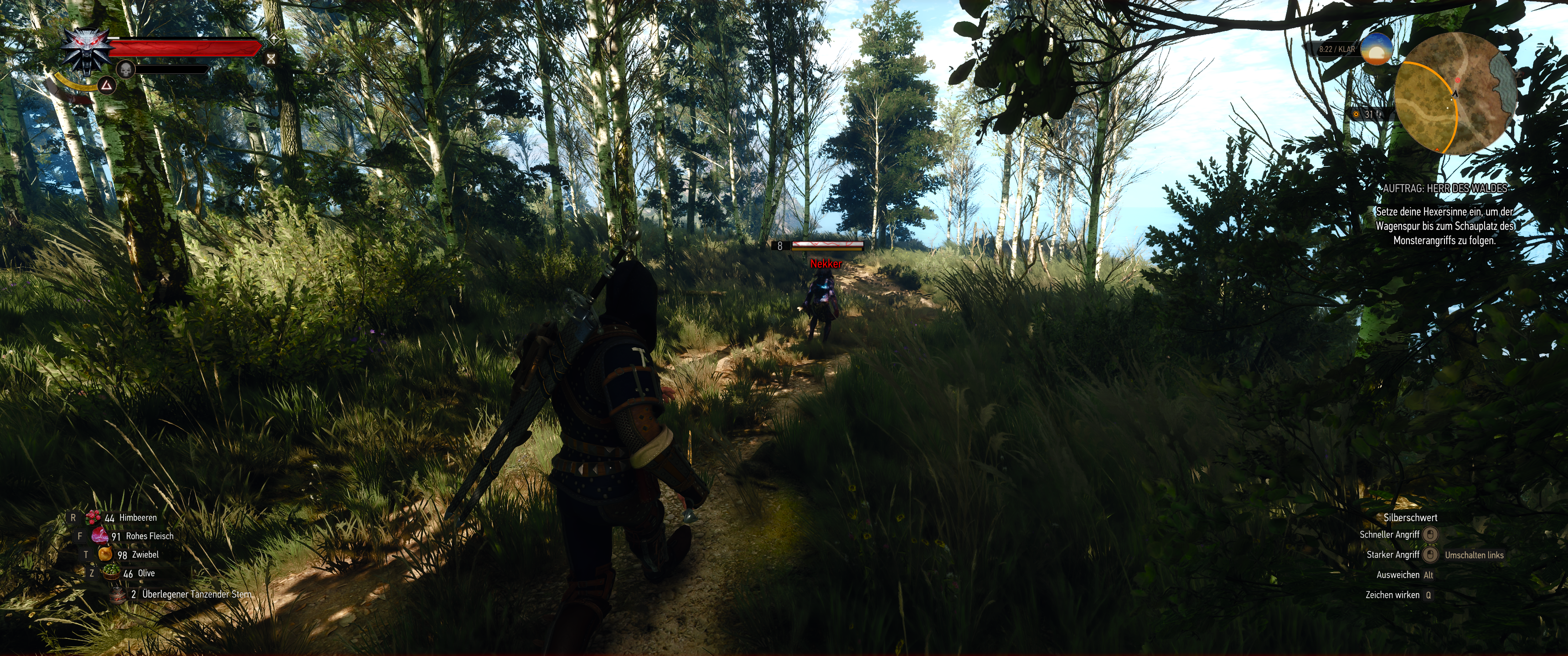 Witcher III (728).png