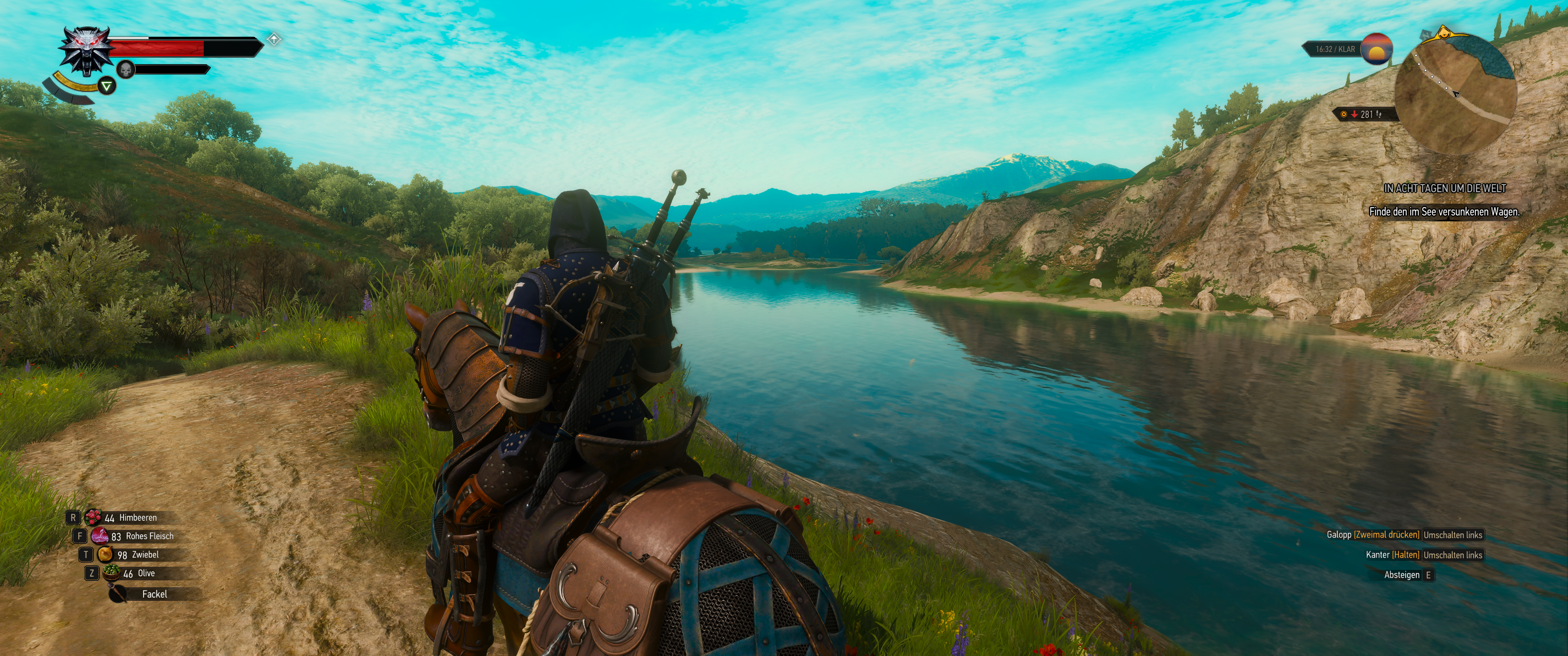 Witcher III (738).png