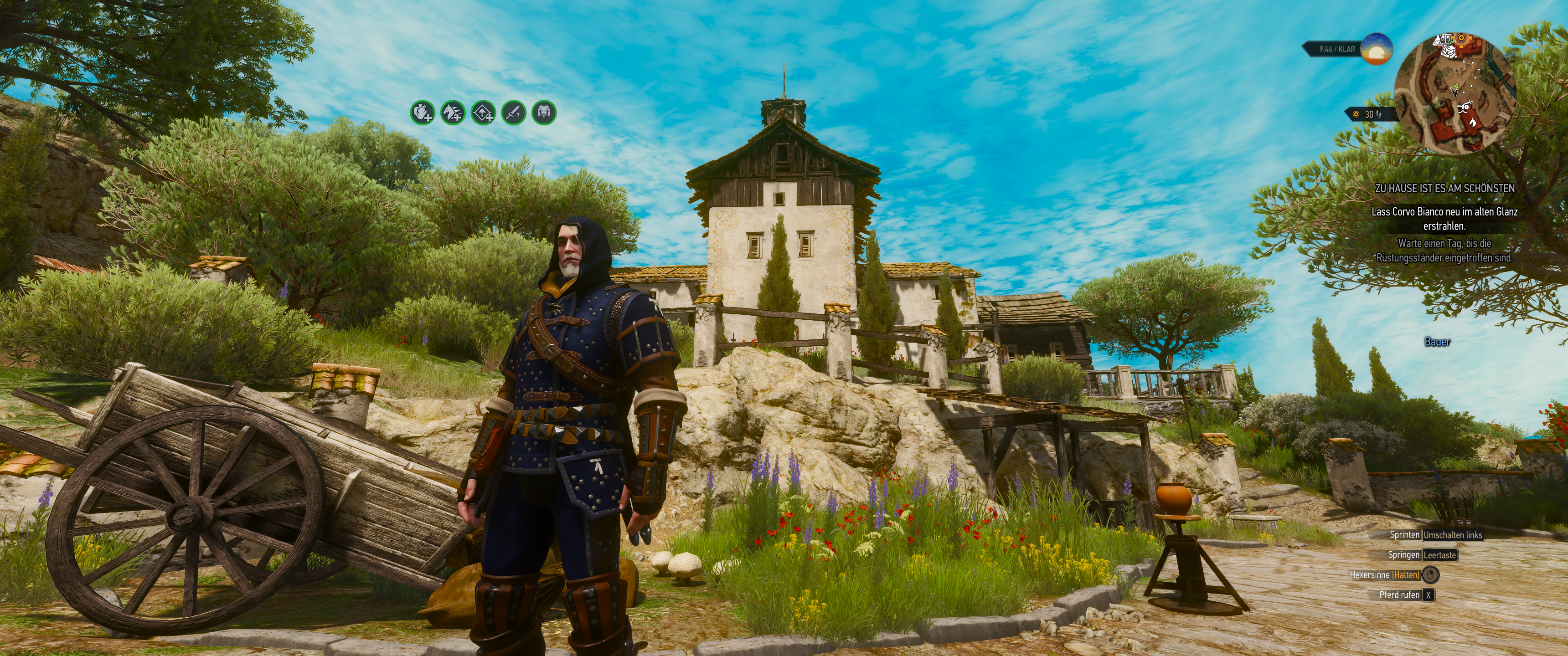 Witcher III (739).png