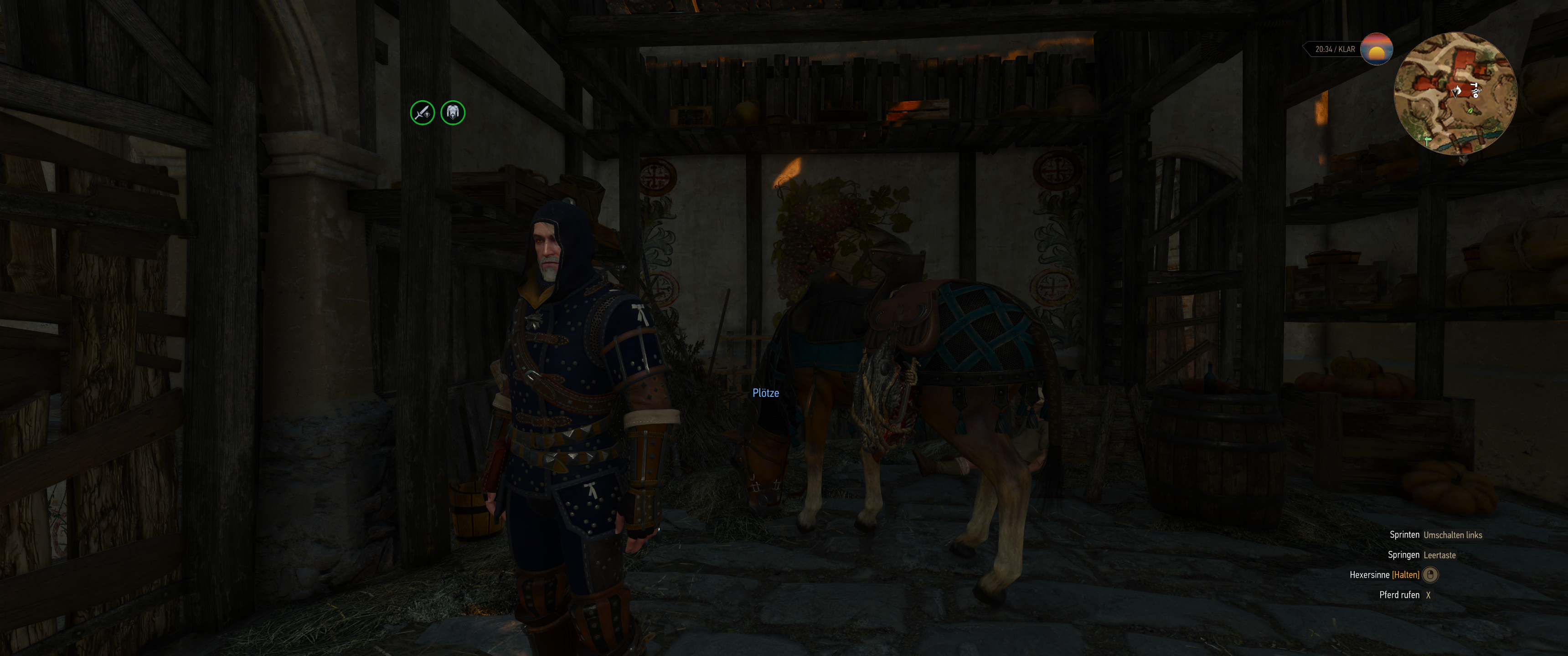 Witcher III (741).png